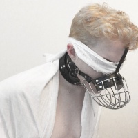 BandedBudgie's Profile - Porn vids, Pics & More | ManyVids