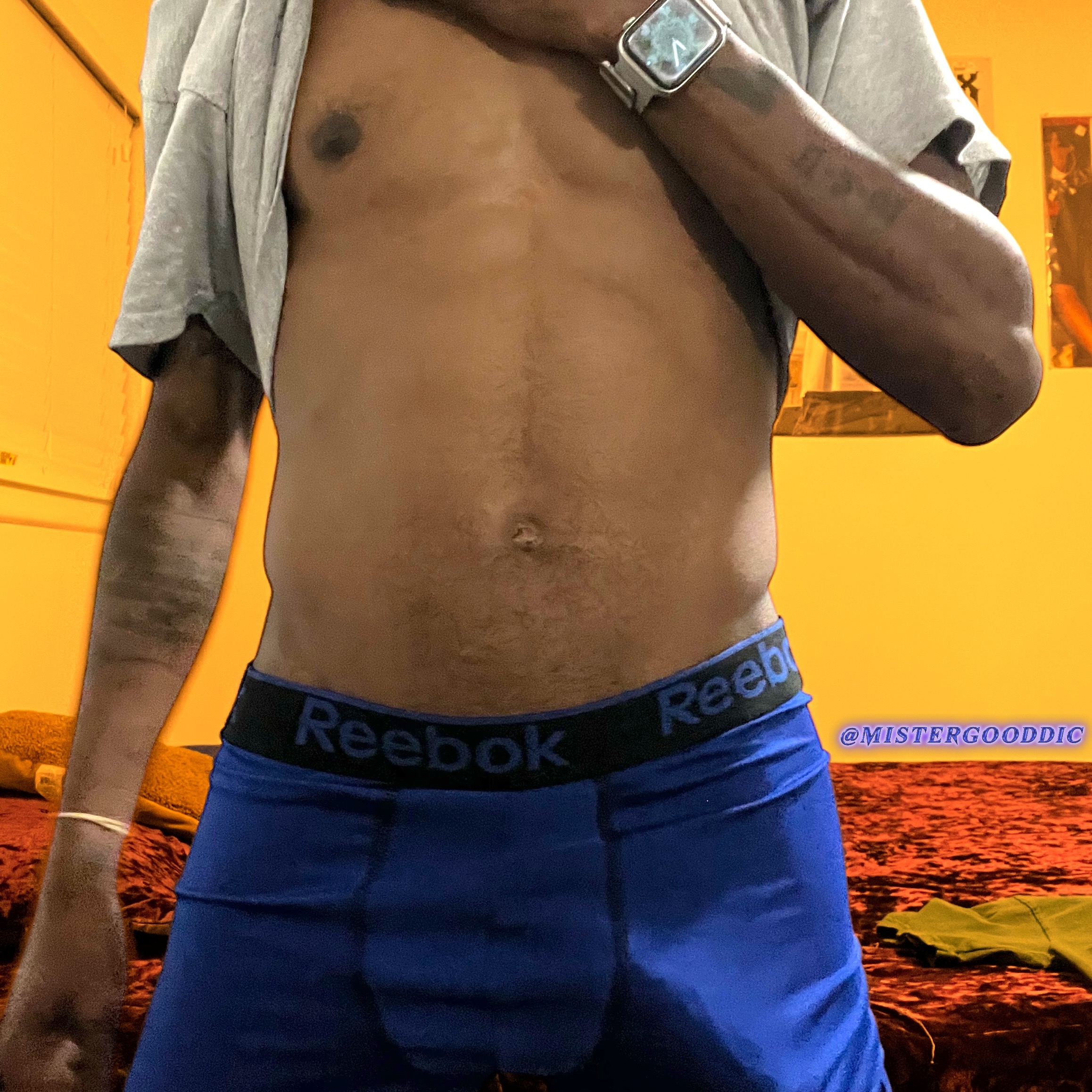 Mister Good Dic