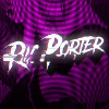 ricporter leaks