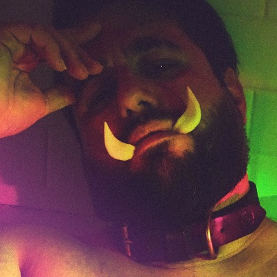 thebearwannabe Image