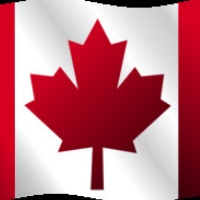 yyzguy1