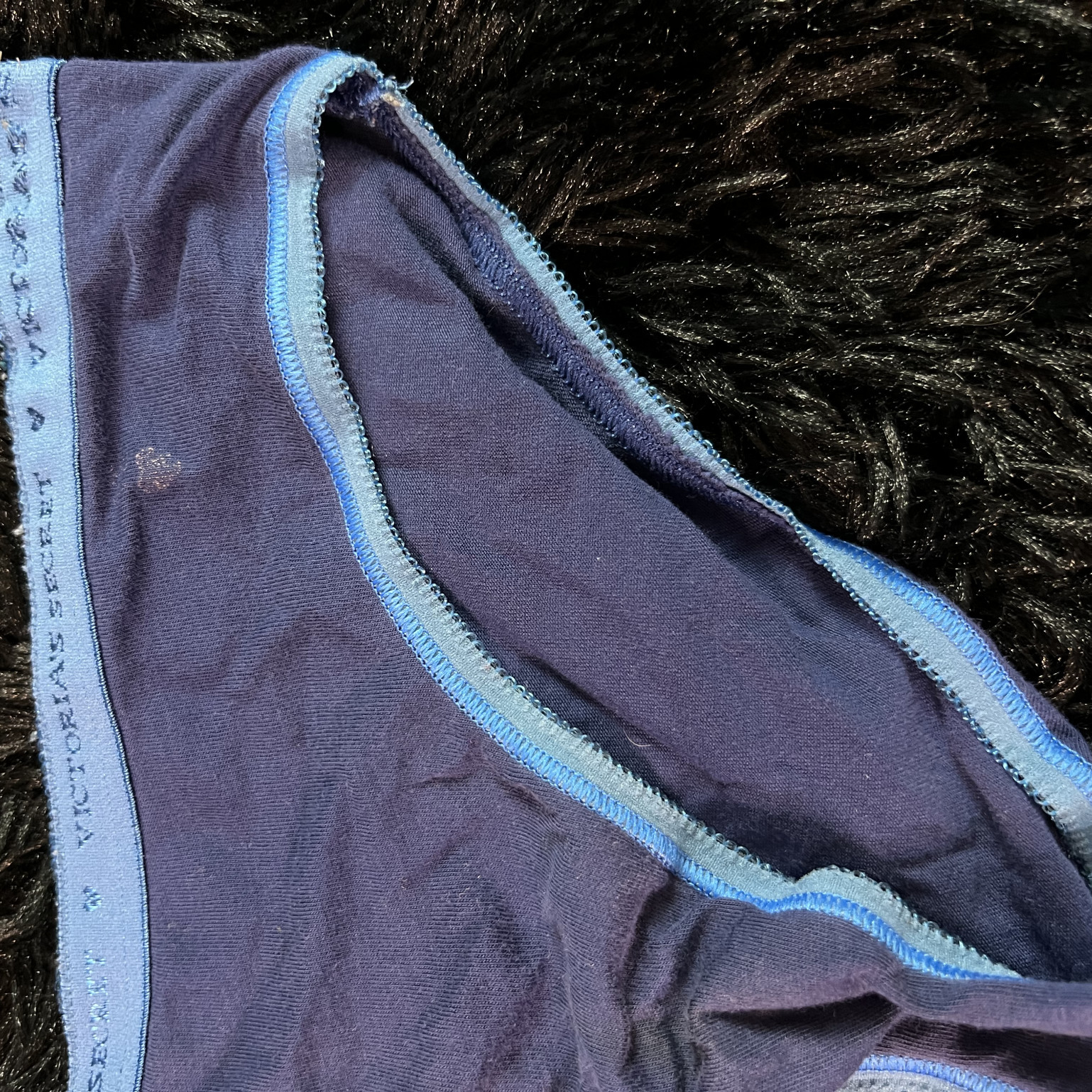 Blue Brief Panties Size Small
