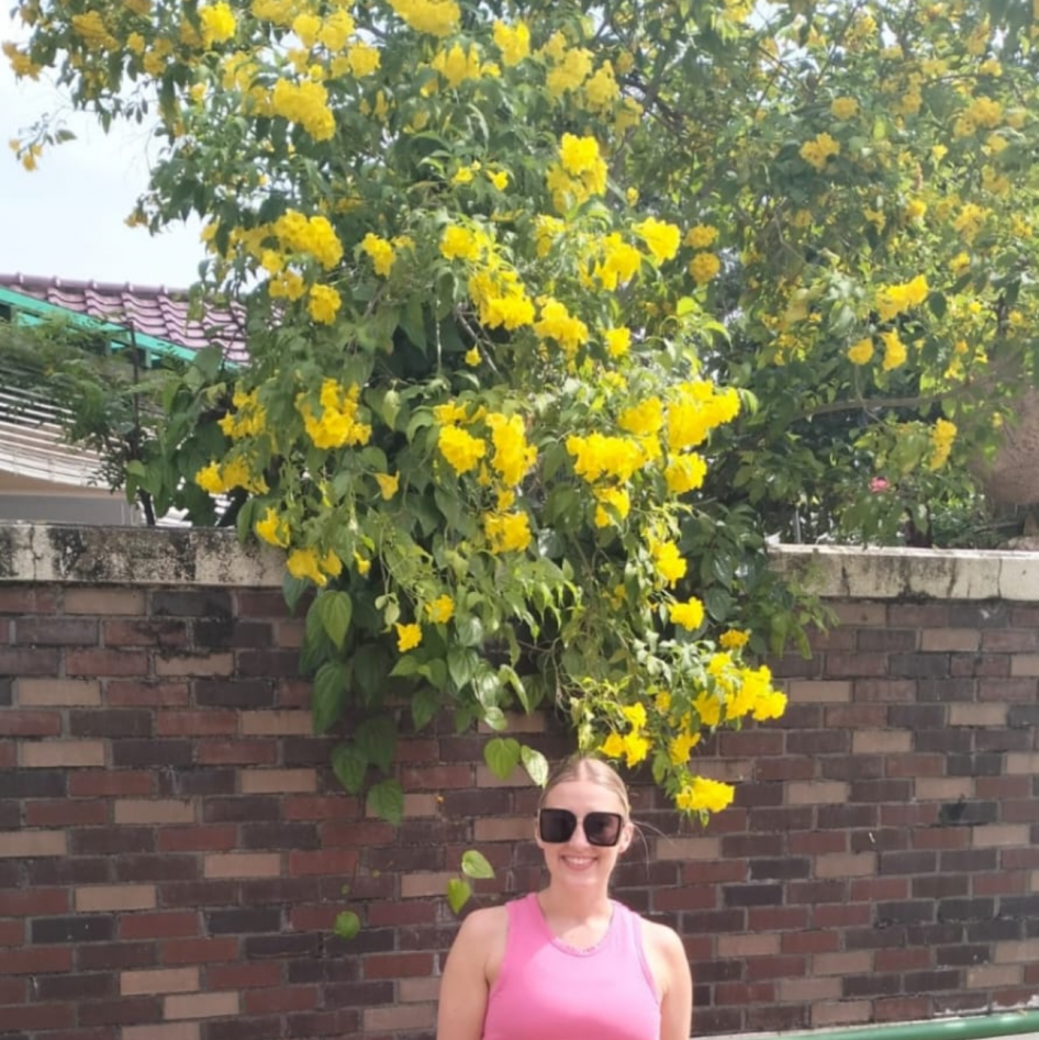 Spoil Me: Buy Me Flowers