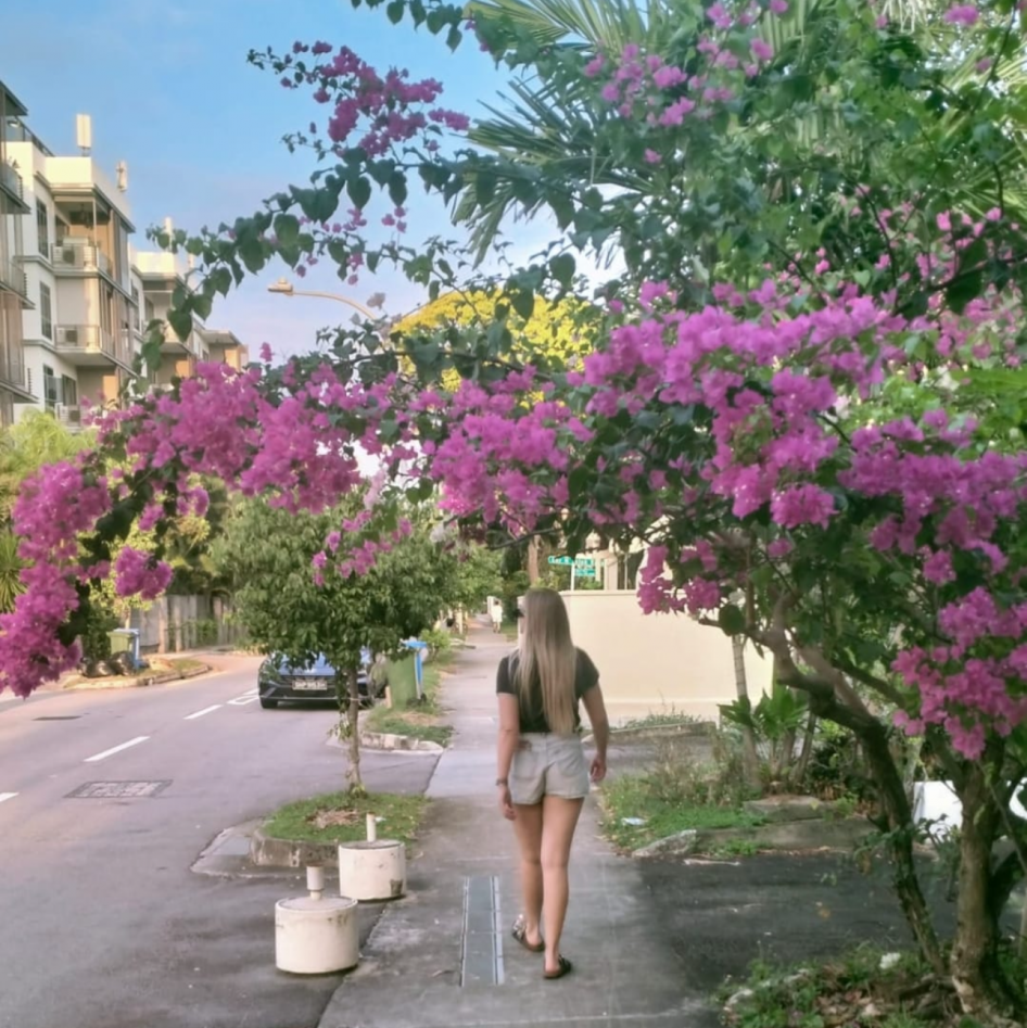 Spoil Me: Buy Me Flowers