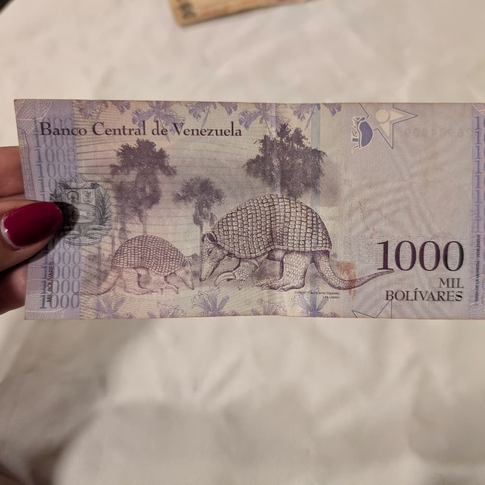 Venezuelan Money