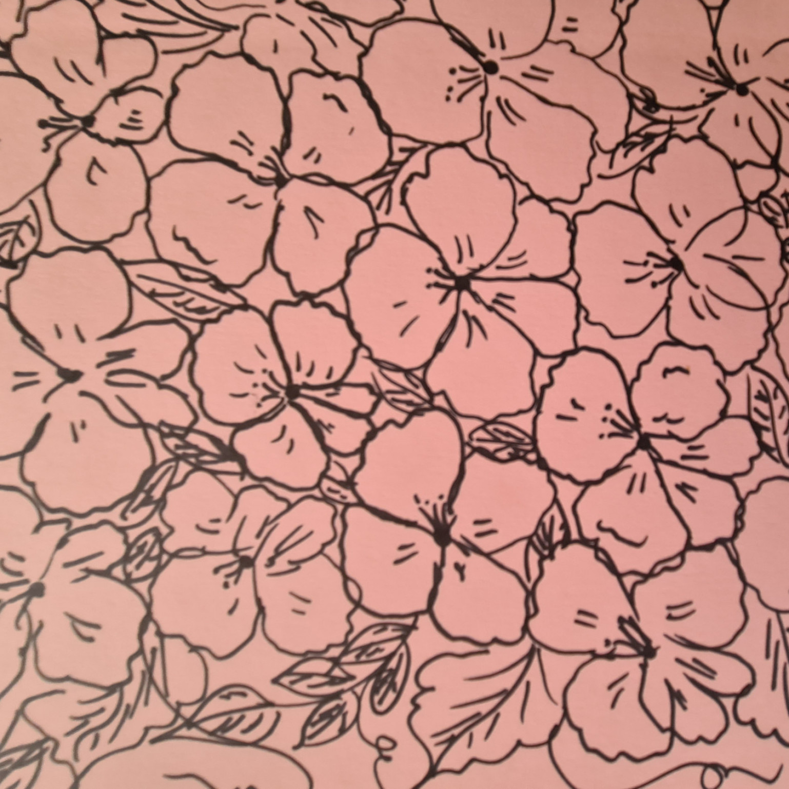 Pansies original art