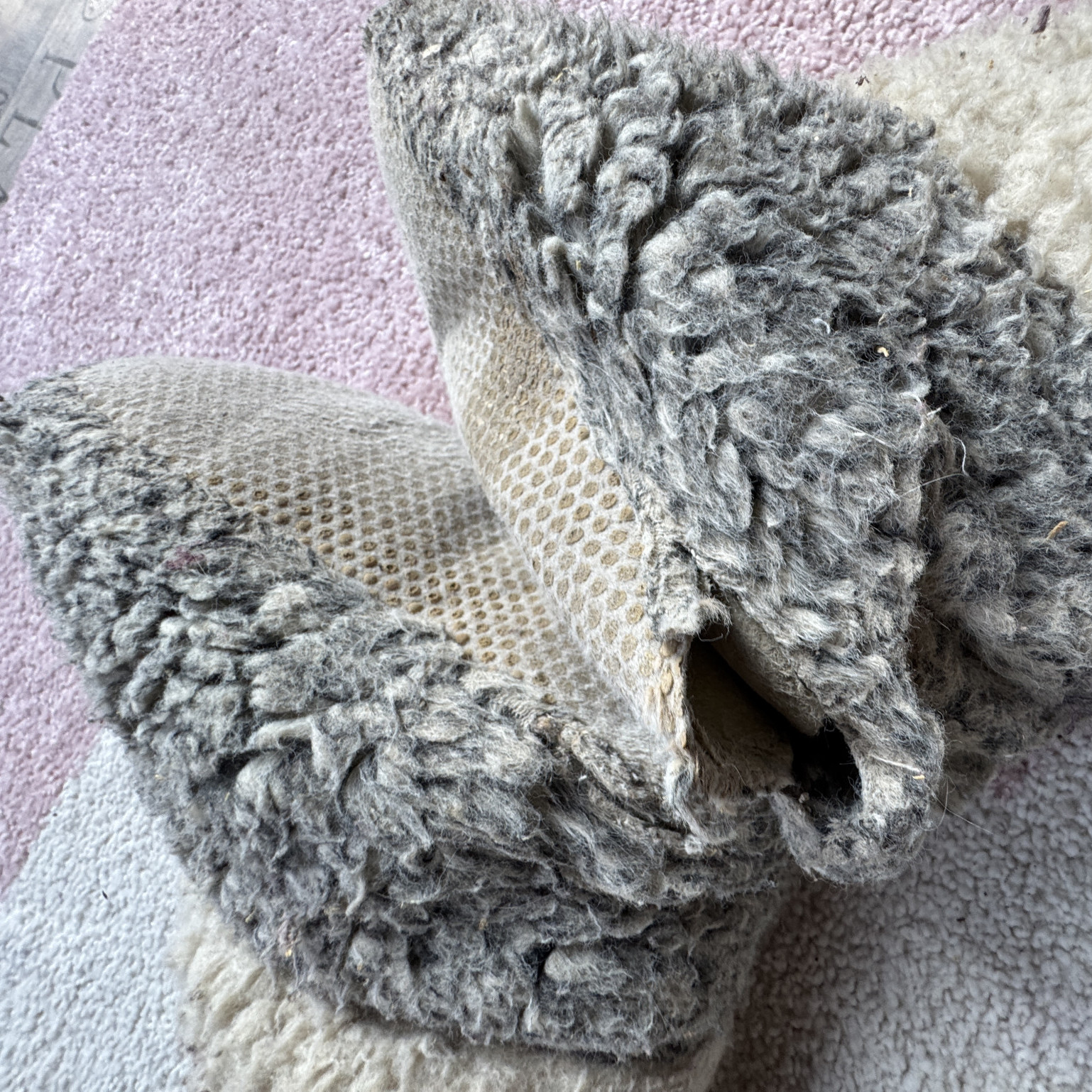 used and worn Lambskin shoes slippers