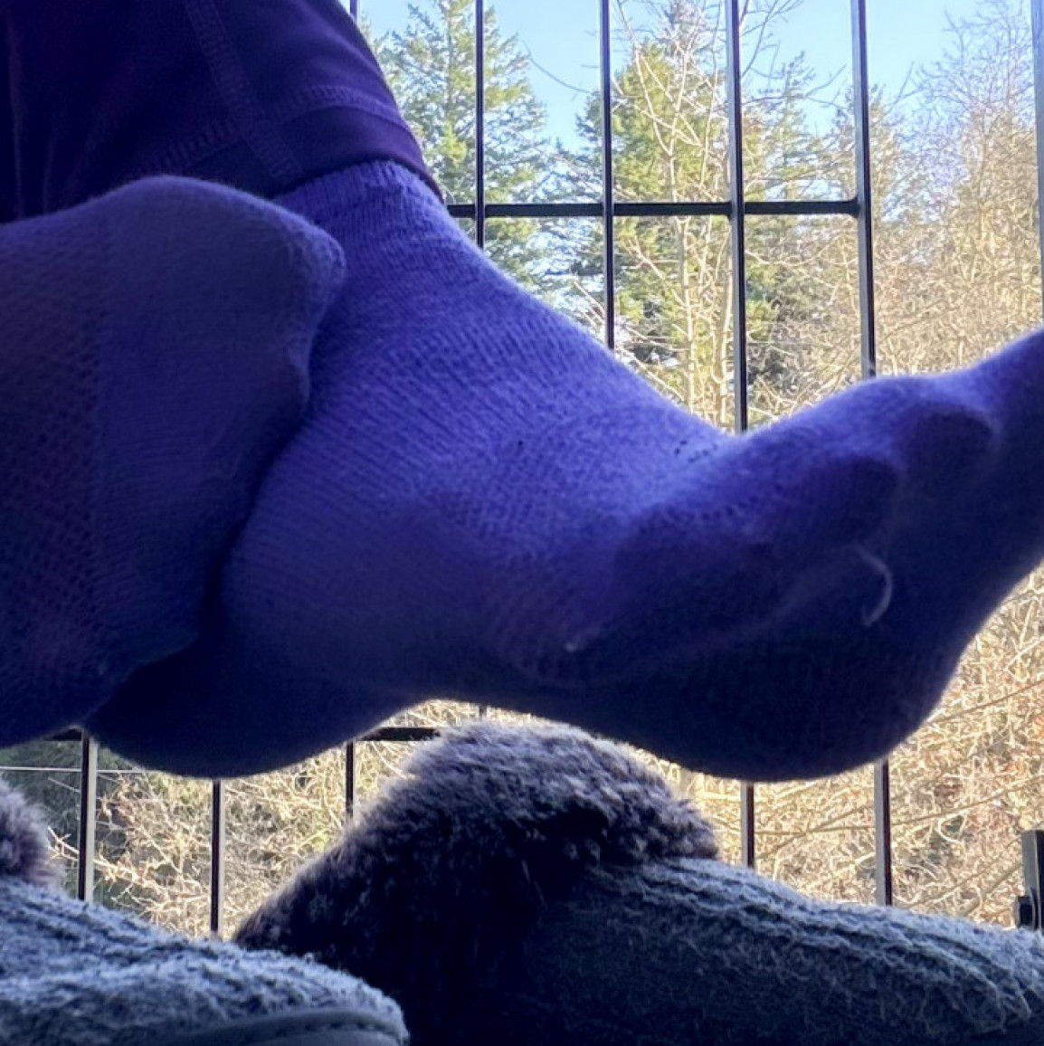 Purple Socks