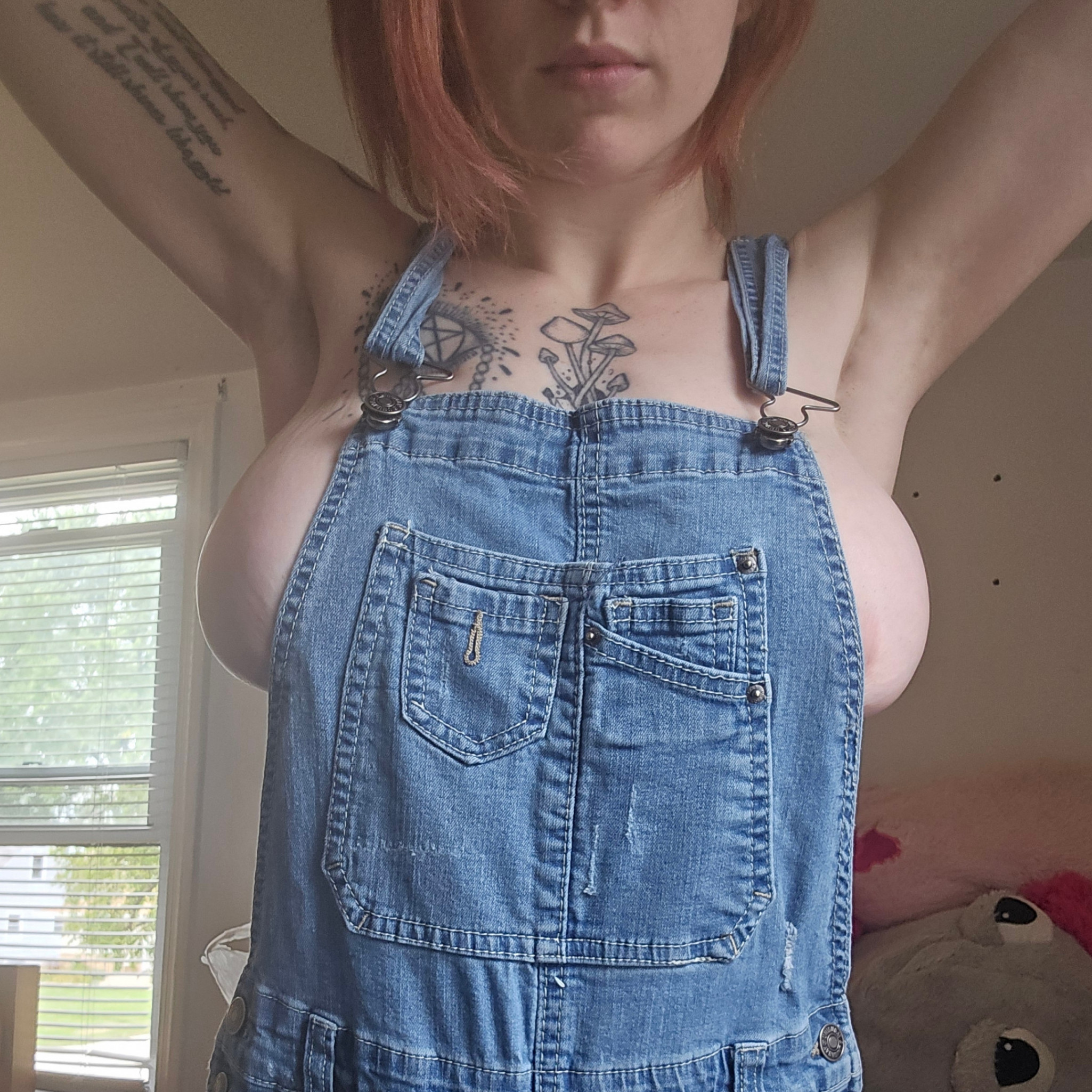 Denim Overalls WITH FREE BONUS CONTENT