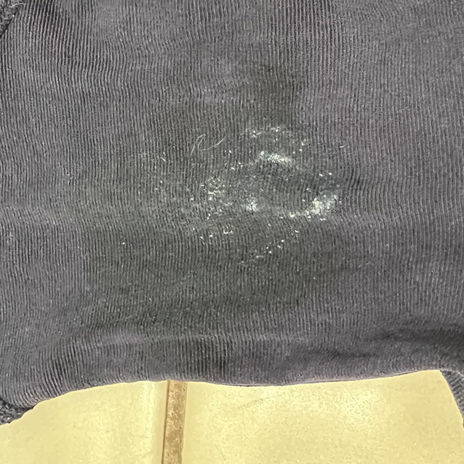 Creamed panties