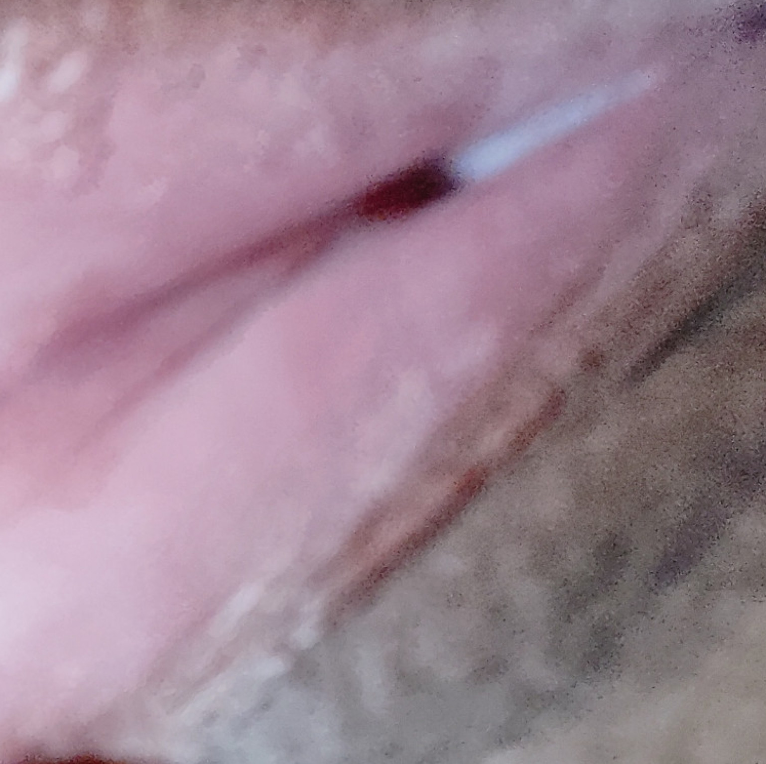 Xsxx