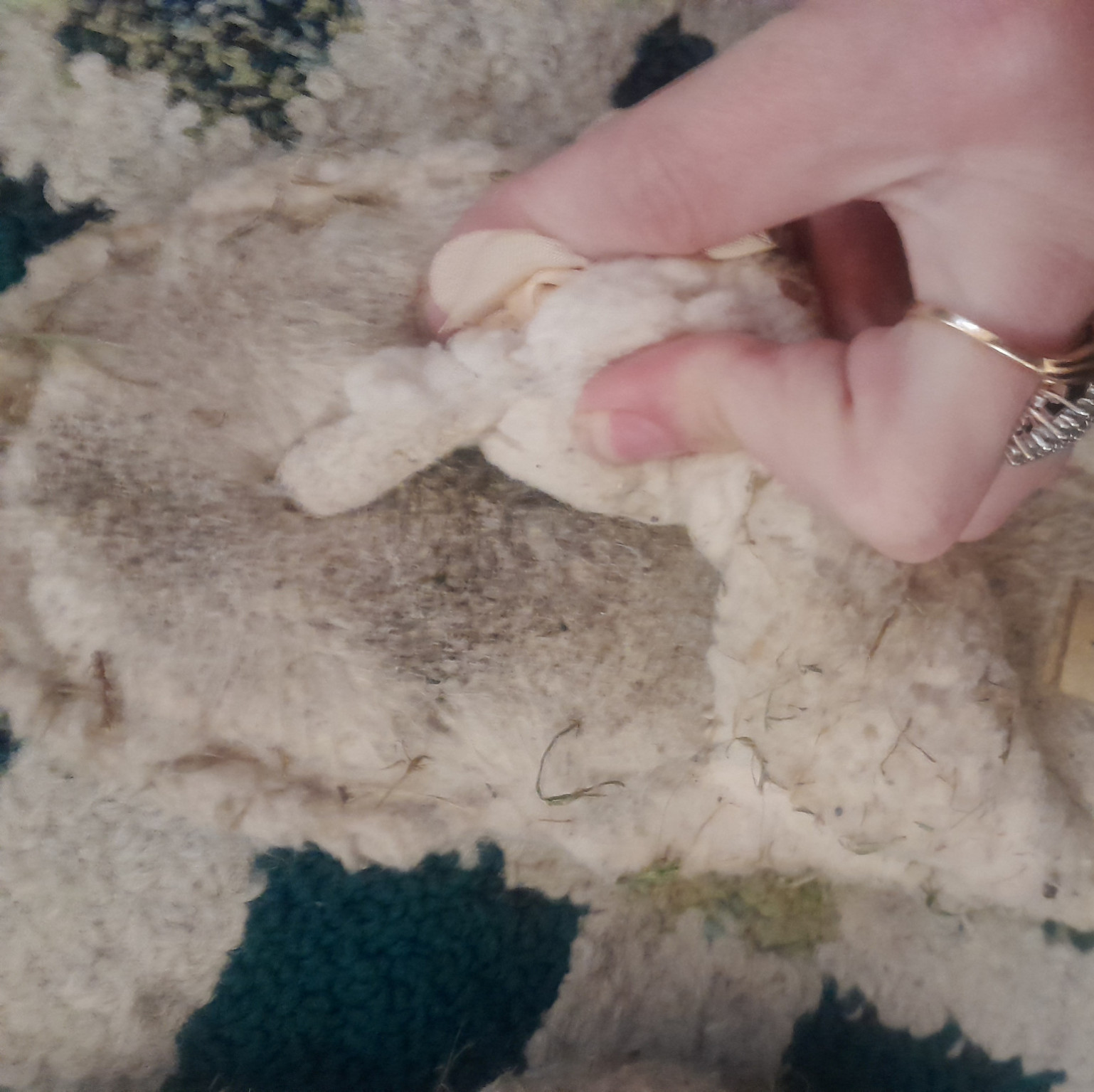 Smelly worn out Slippers
