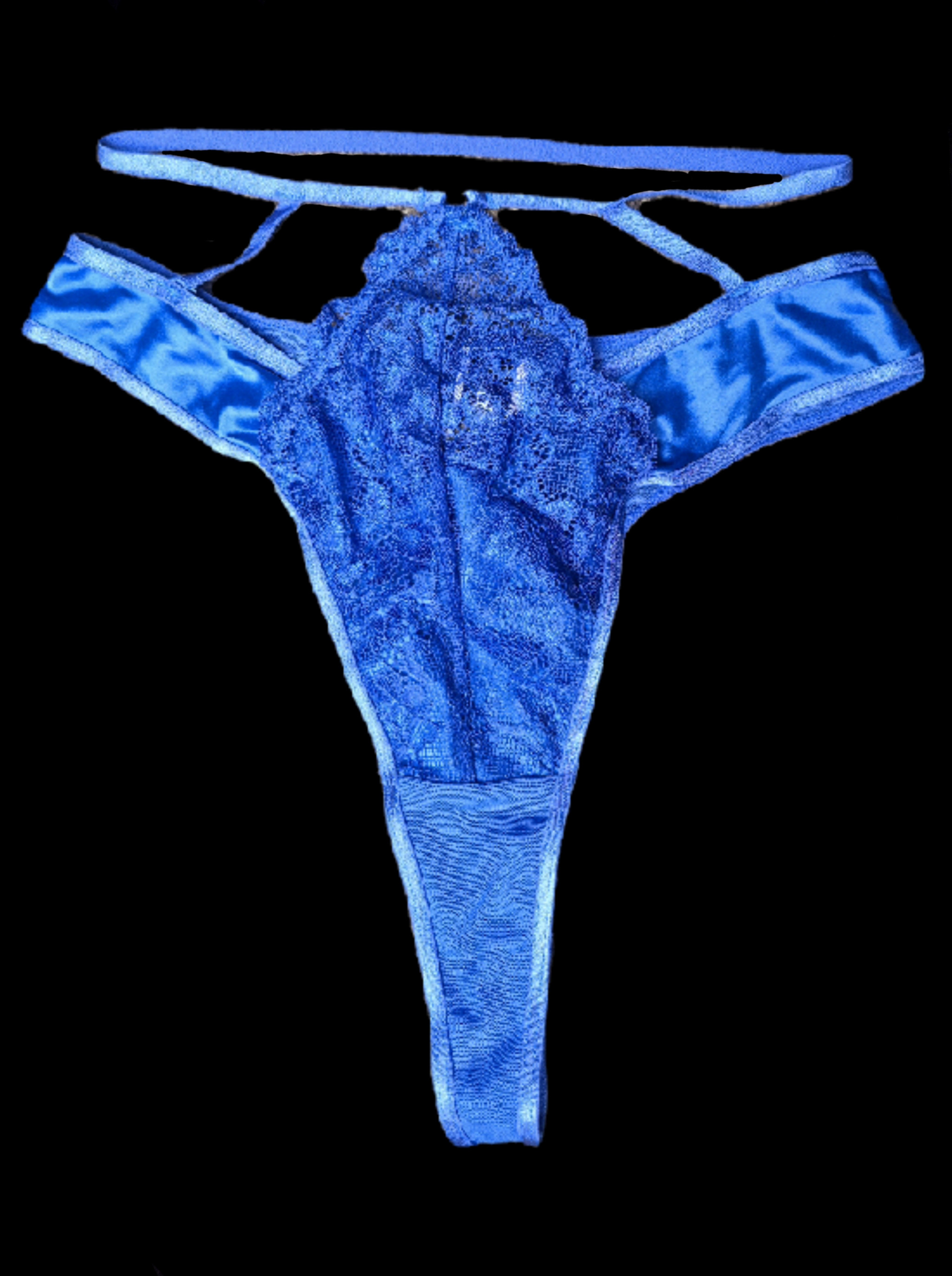 Blue Lace and Satin Panties