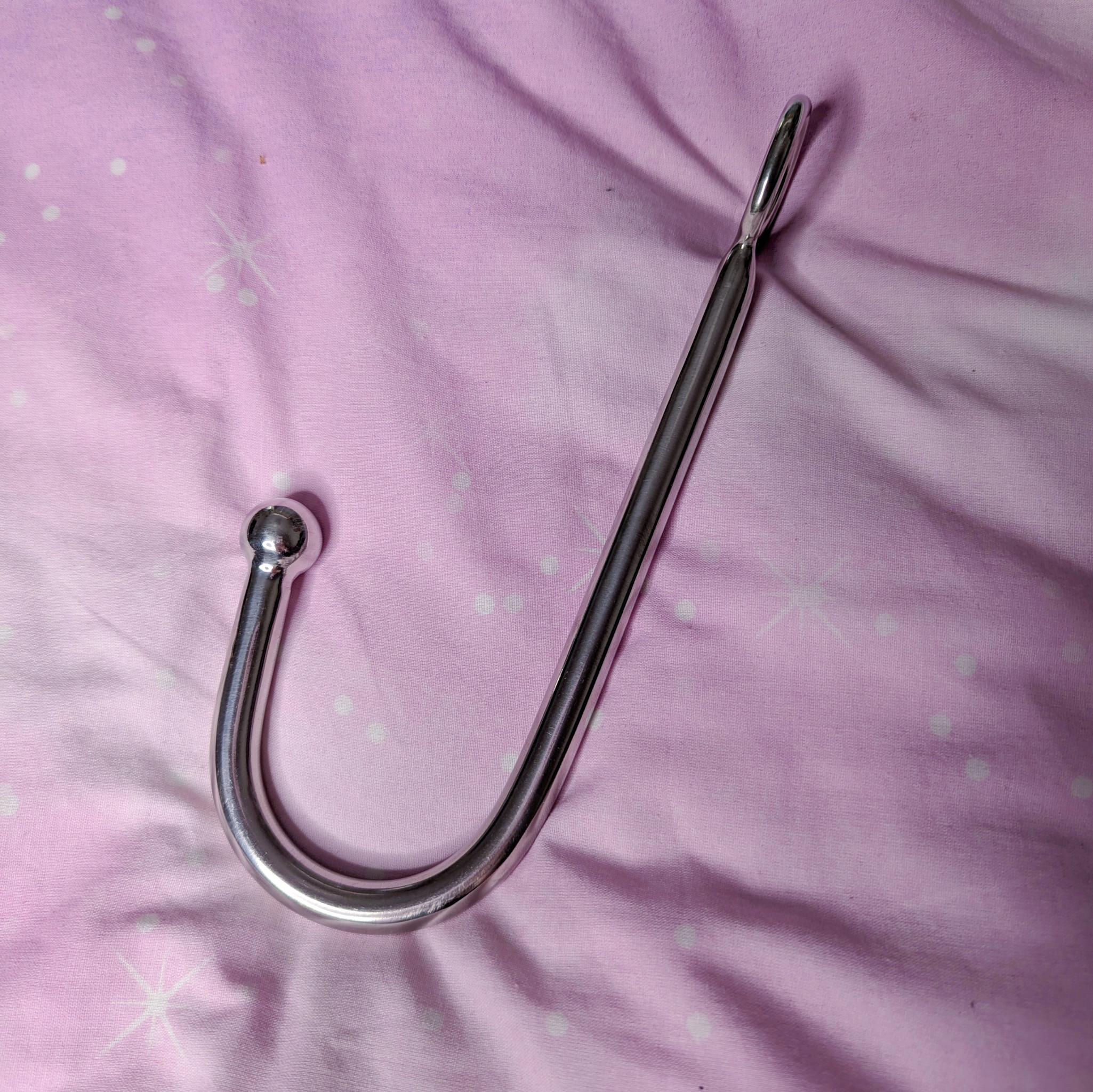 Anal Hook Previously Used