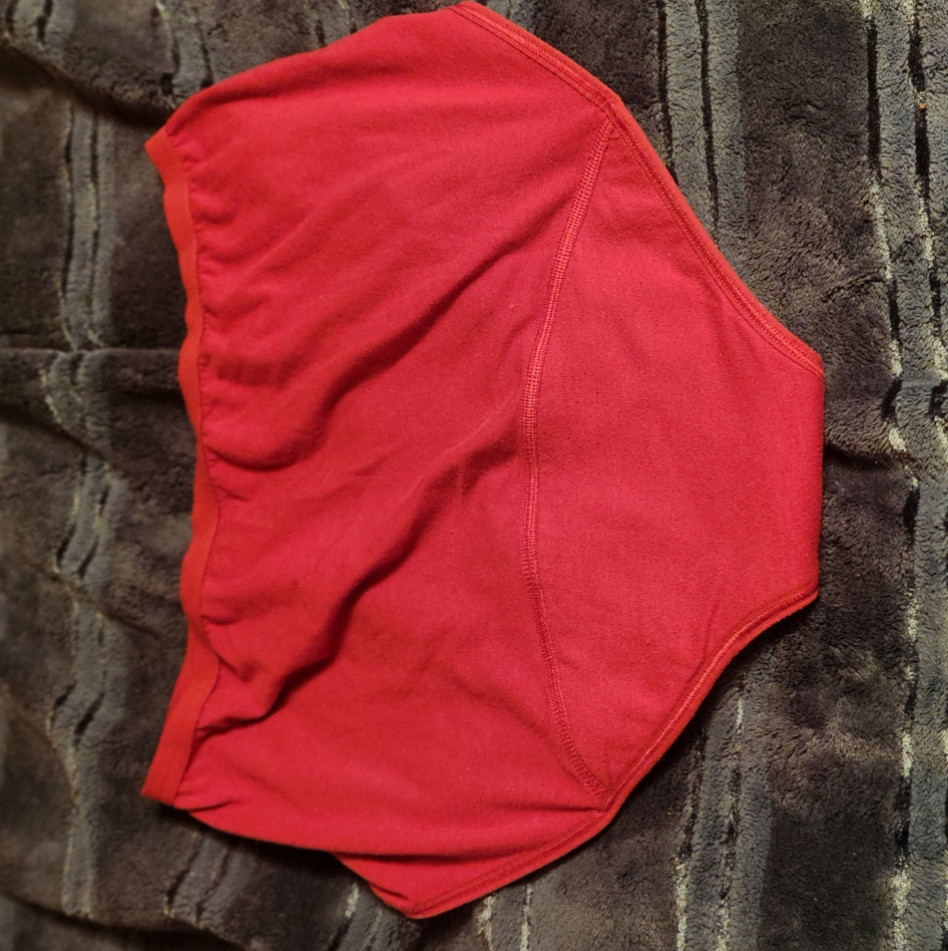 Lined used panties