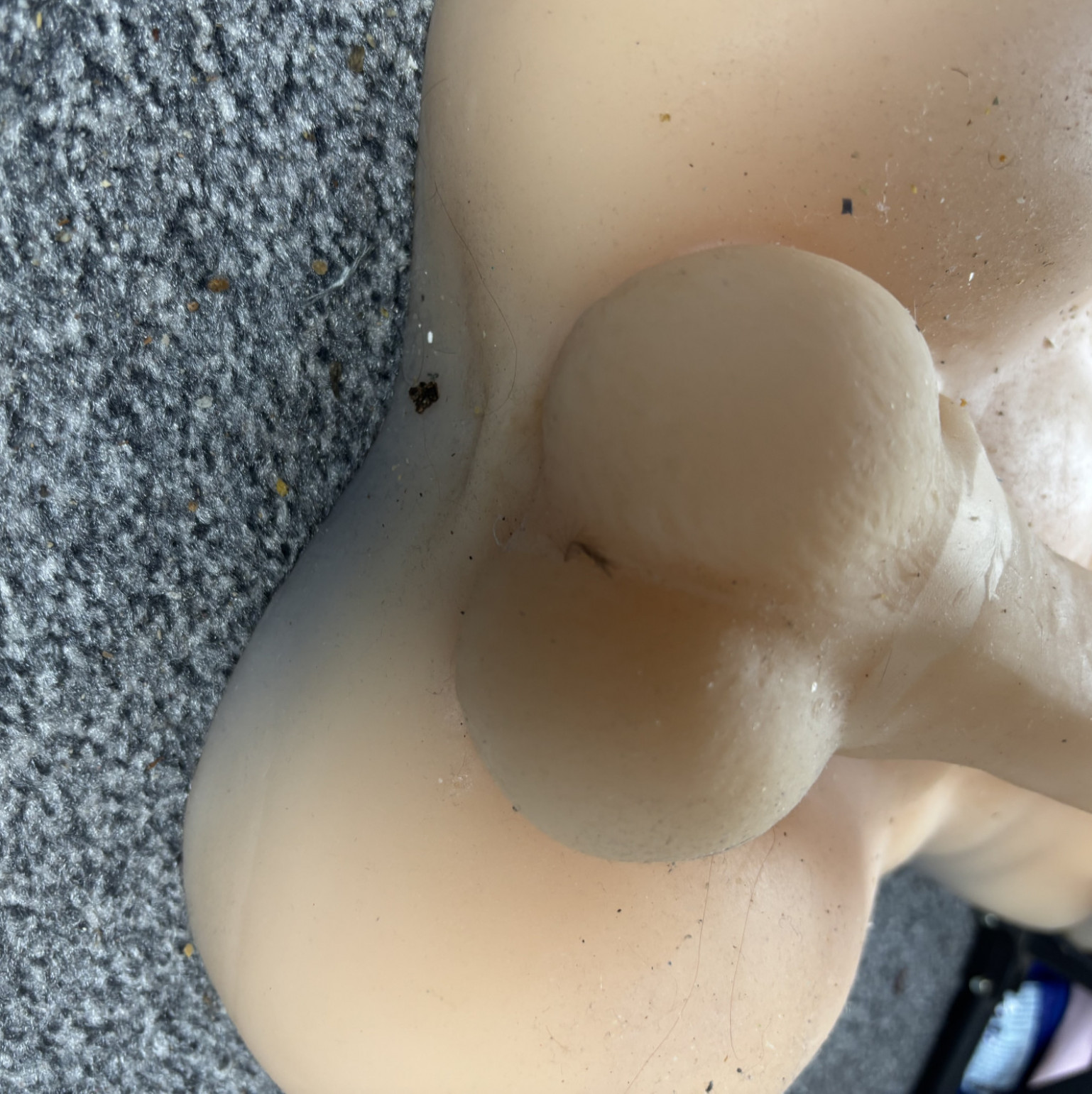 Extremely used torso toy
