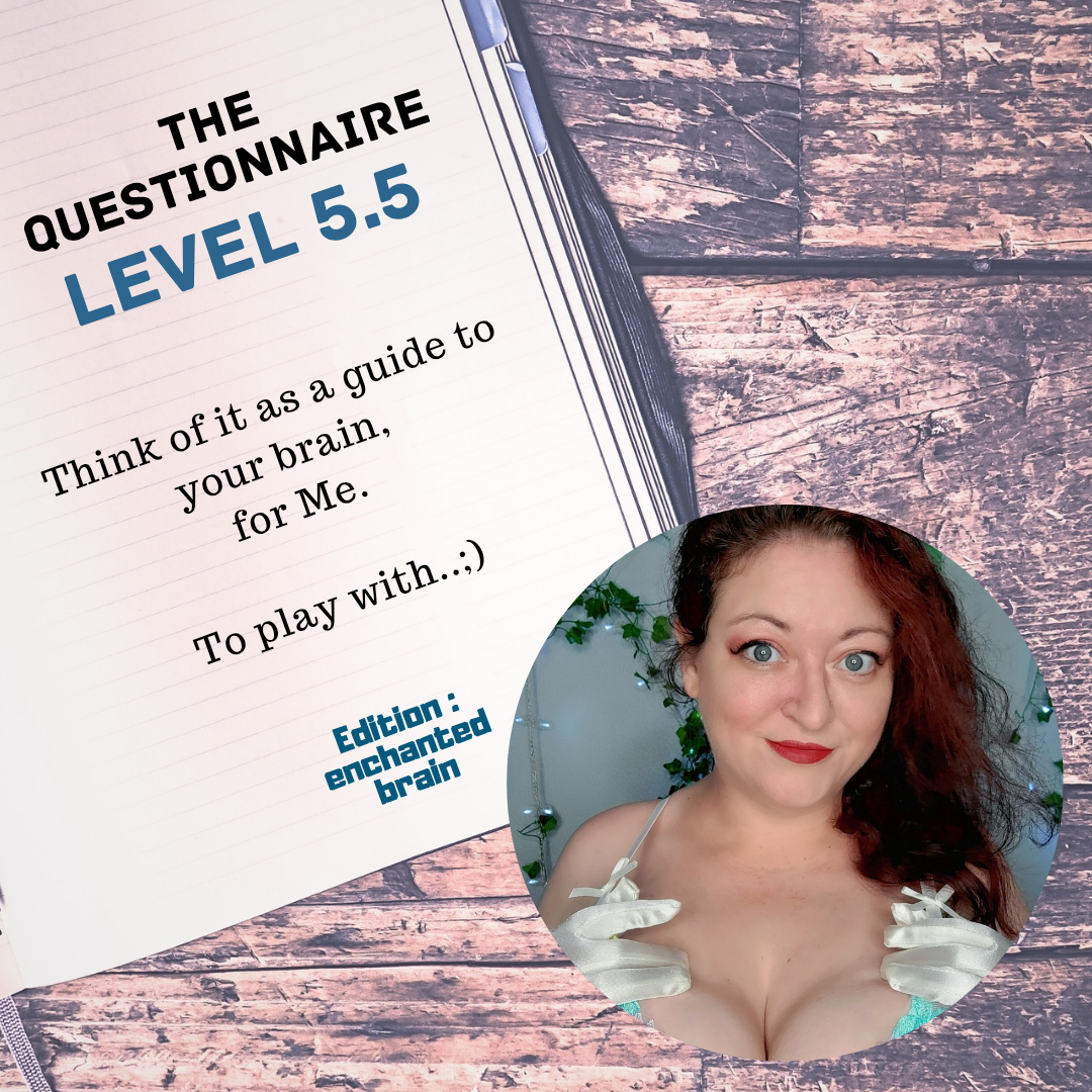 Level 5 Questionnaire