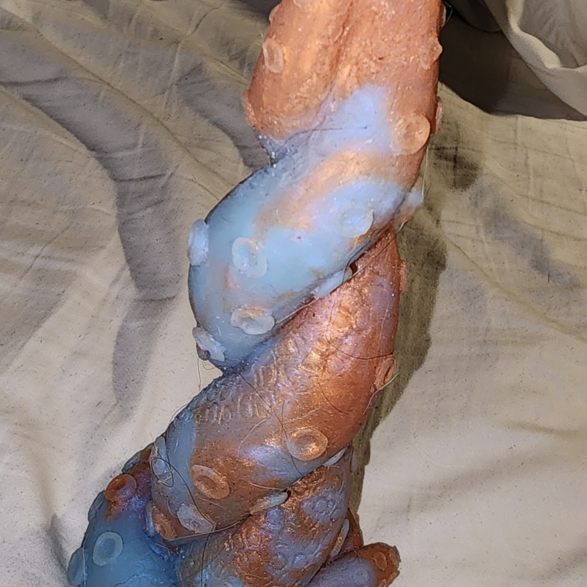 Blue Orange Tentacle
