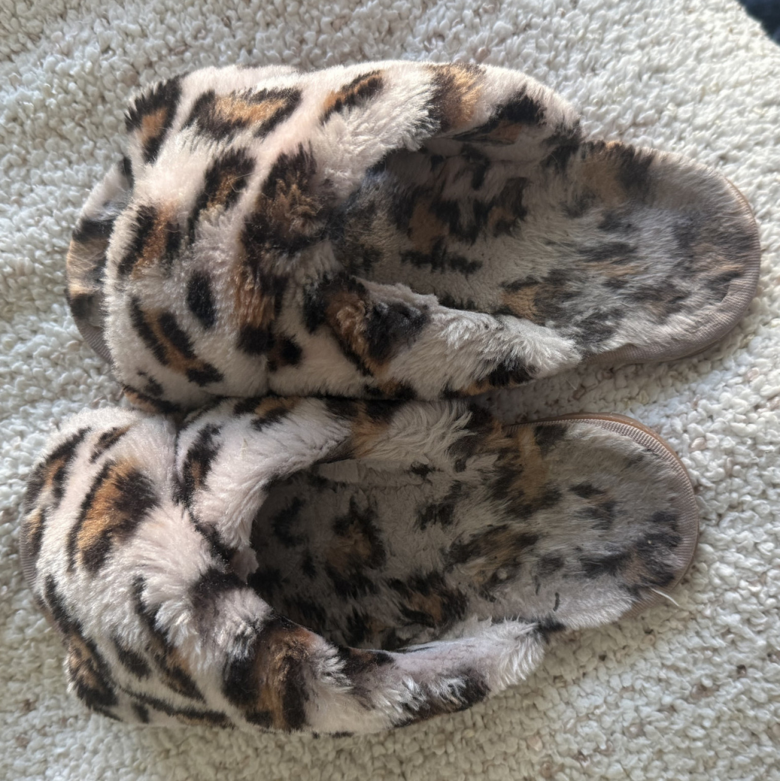 Gemma Flavored House Shoes