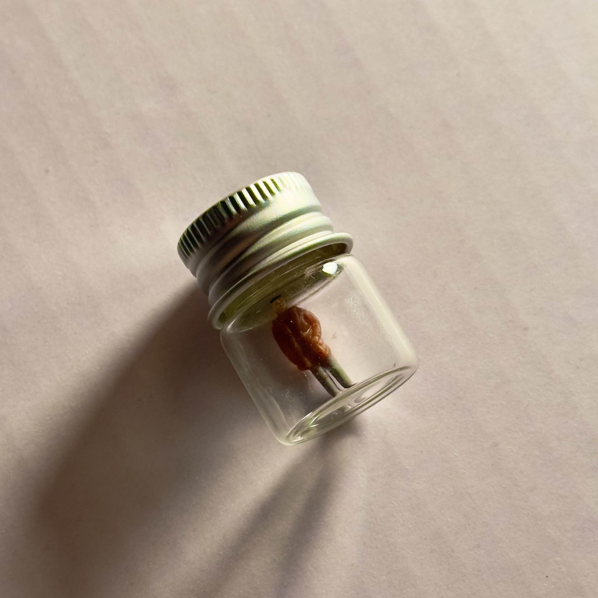 Booty Man in Little Jar