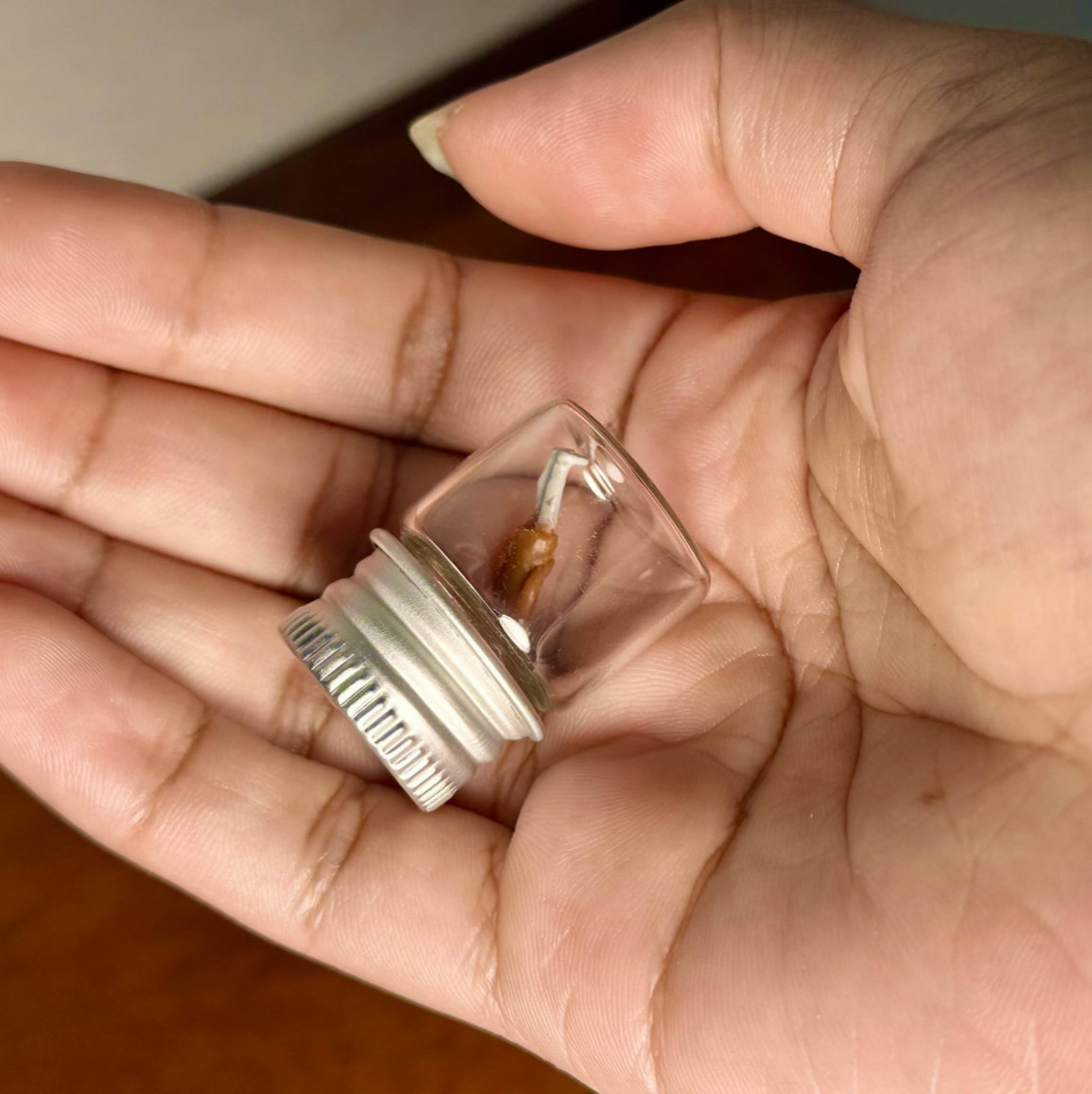 Booty Man in Little Jar