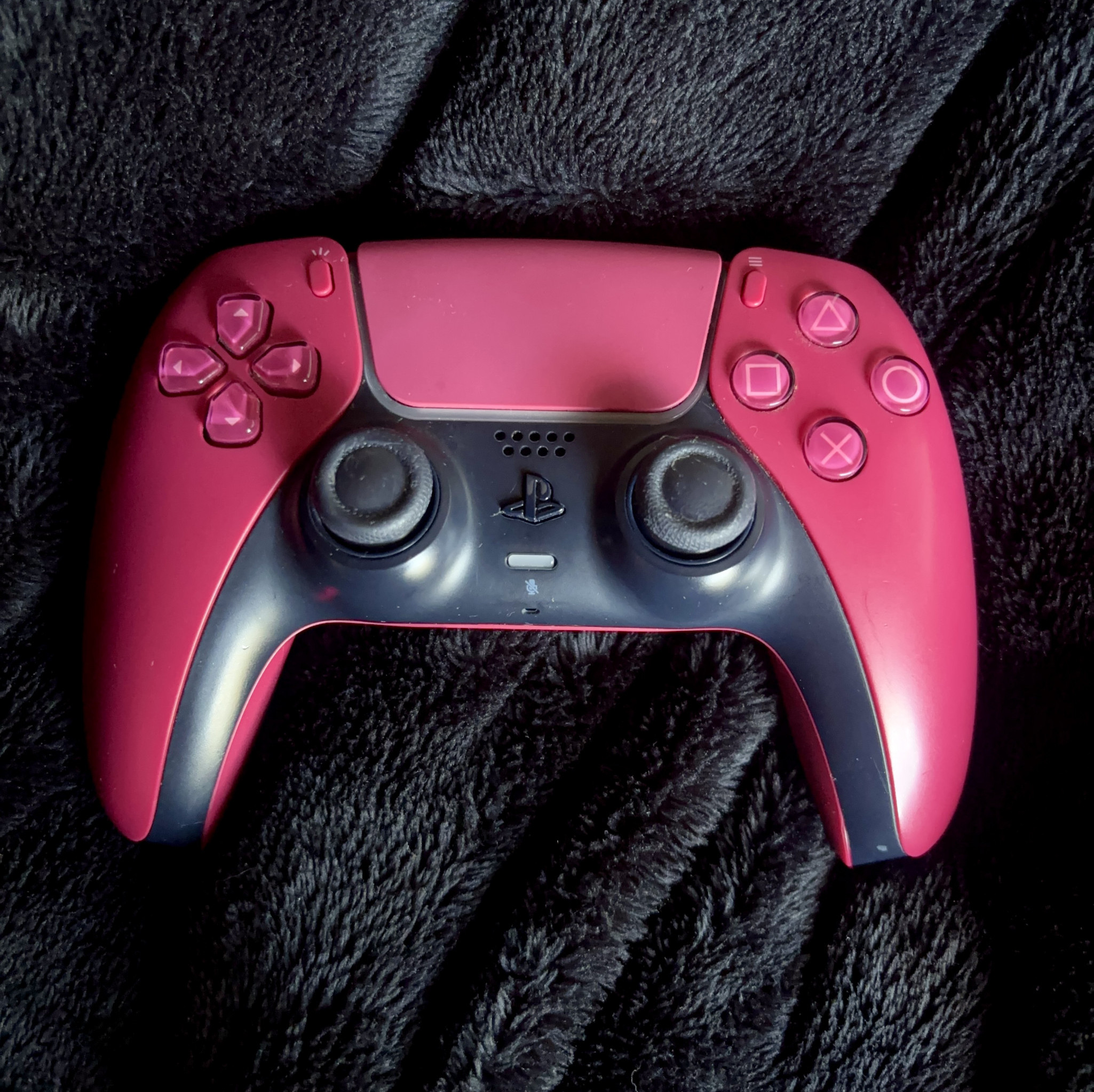 PS5 Controller I Fucked