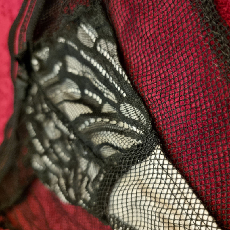 Lace and Mesh Full Panties