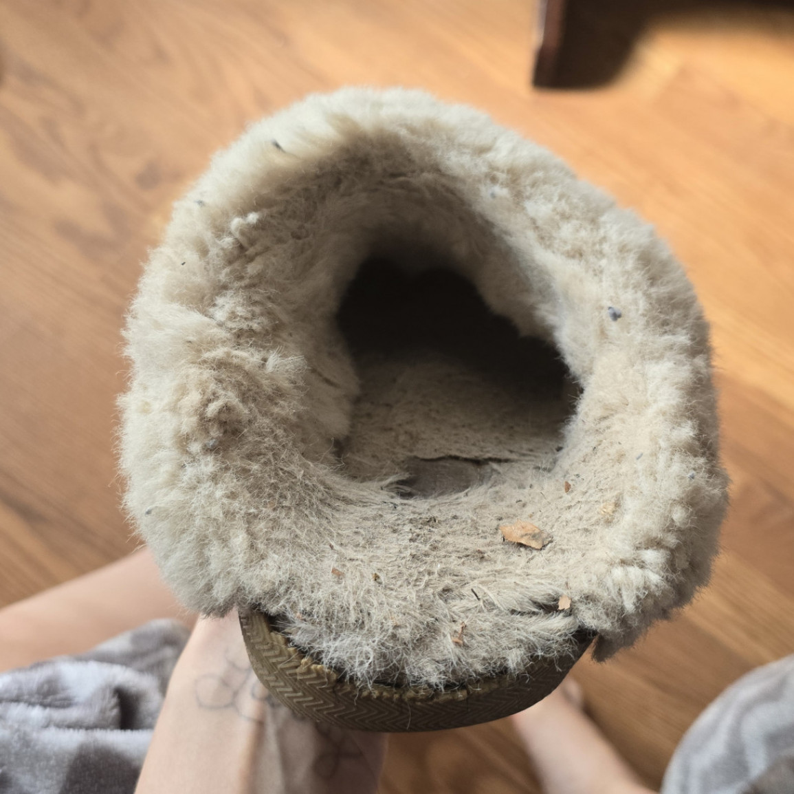 Well worn house slippers