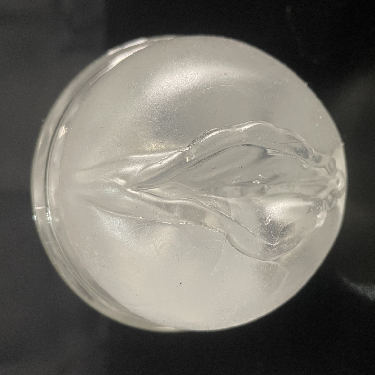 Pocket Pussy Fleshlight