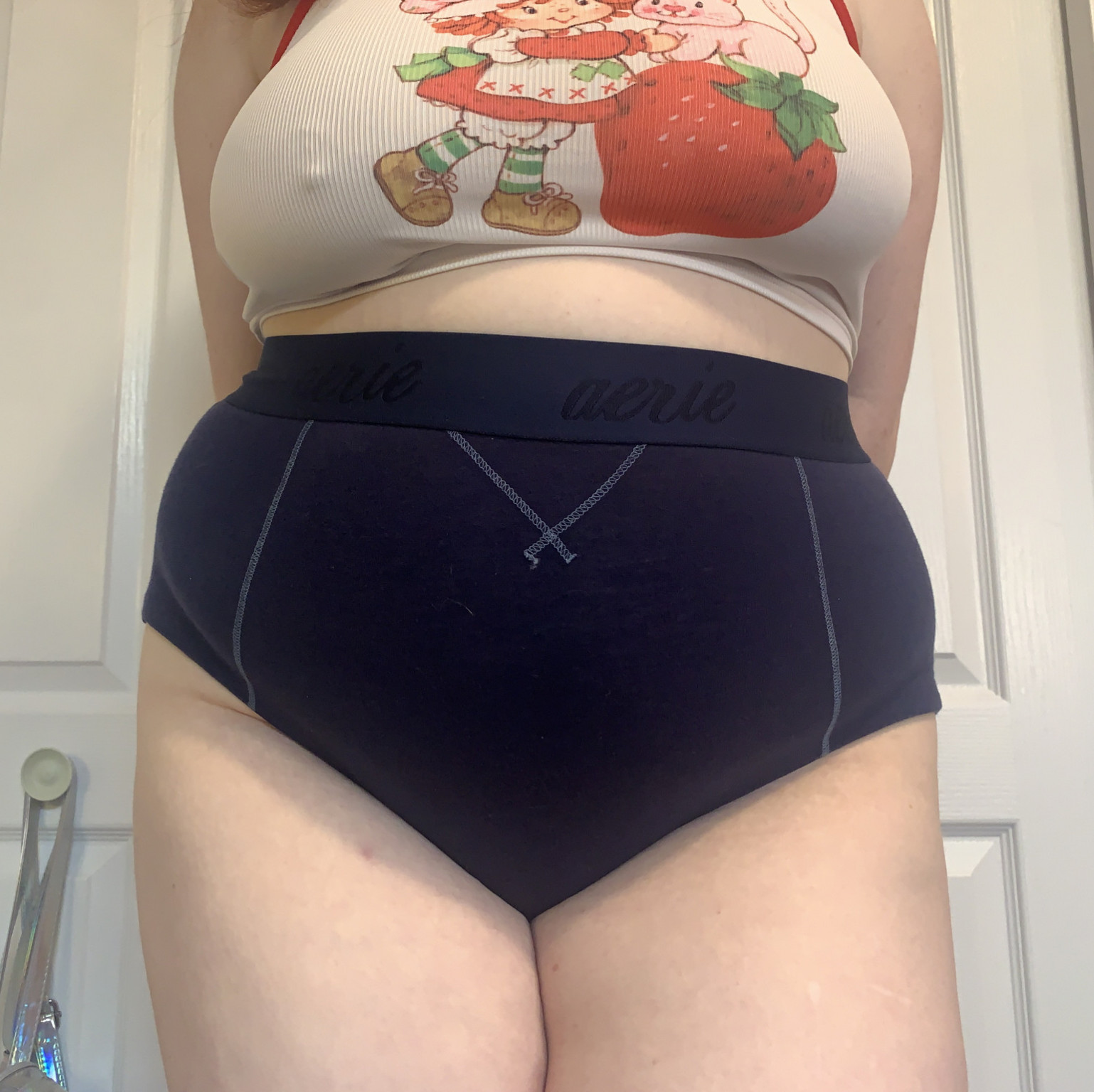 High Waisted Aerie Panties