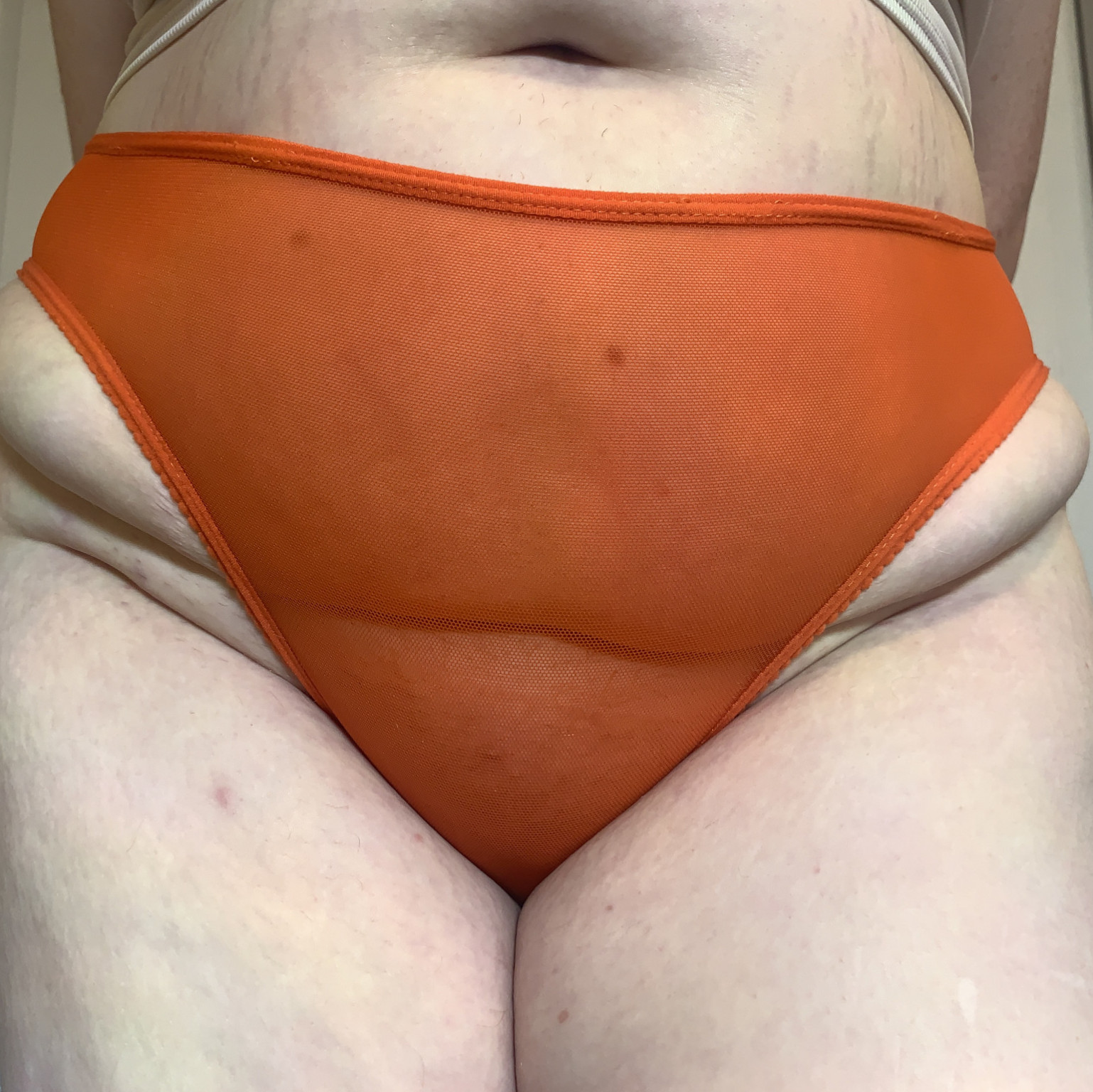 Orange Mesh Panties