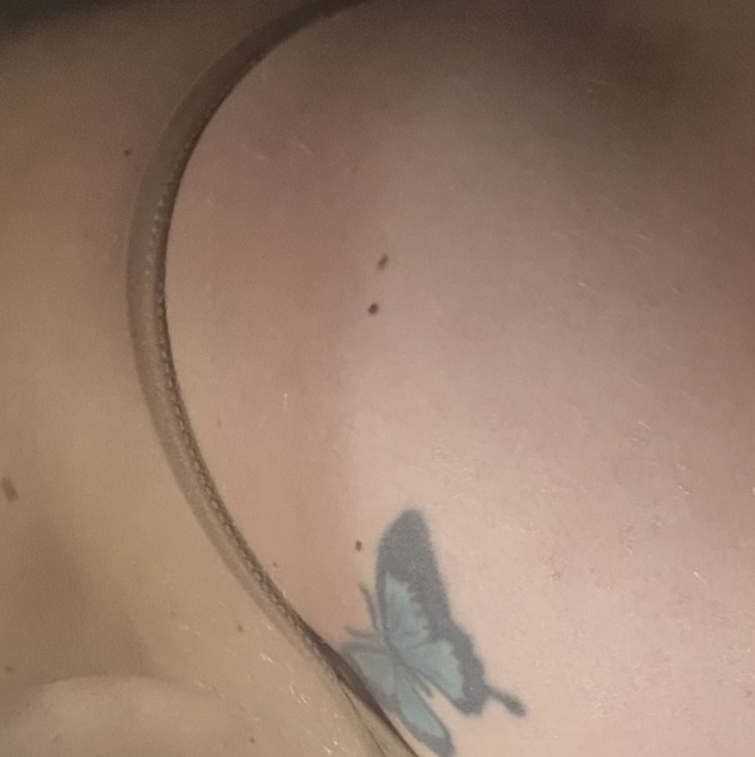 Thong