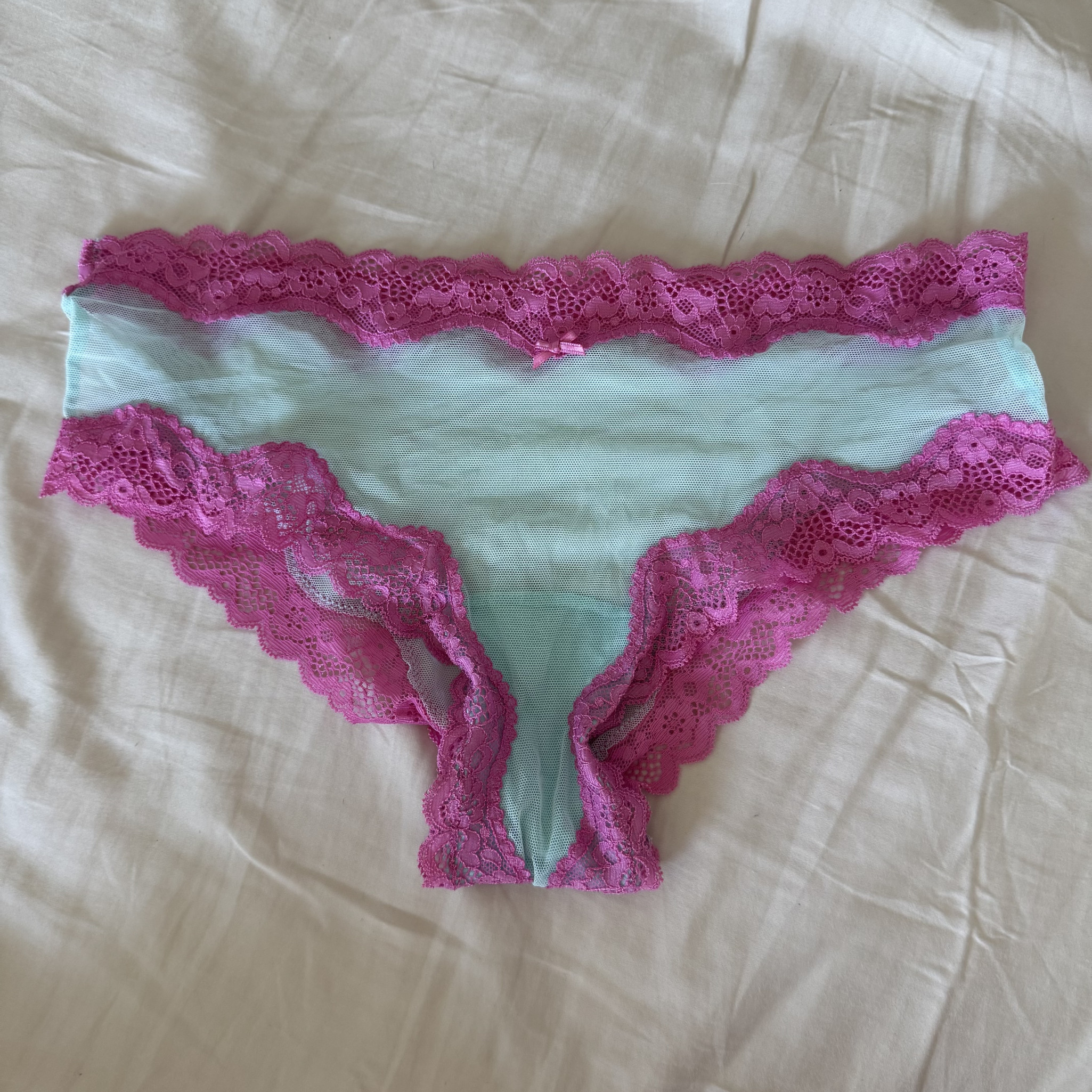 Light Blue Mesh and Pink Lace Cheeky