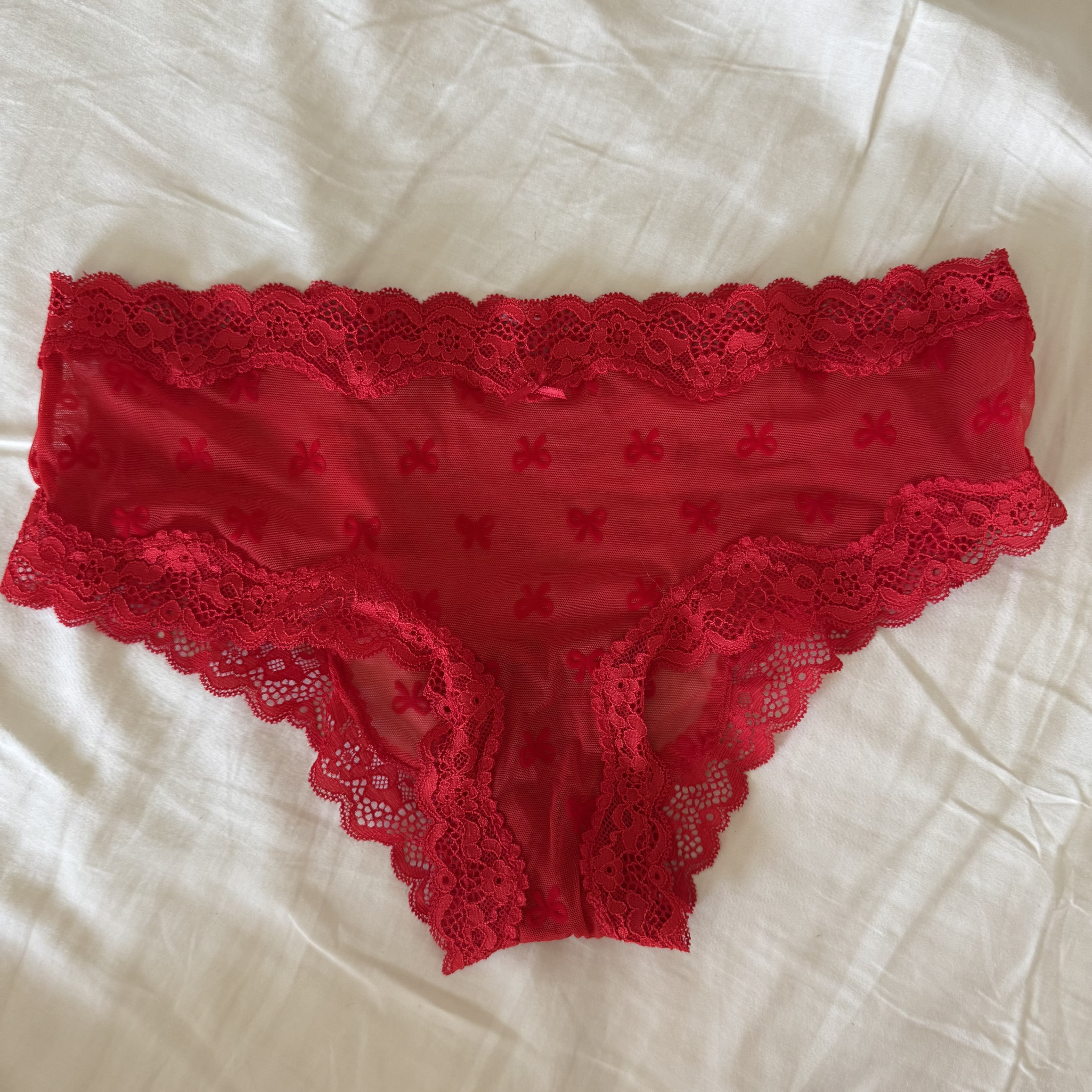 Red Mesh Velvet Bows Lace Trim Cheeky