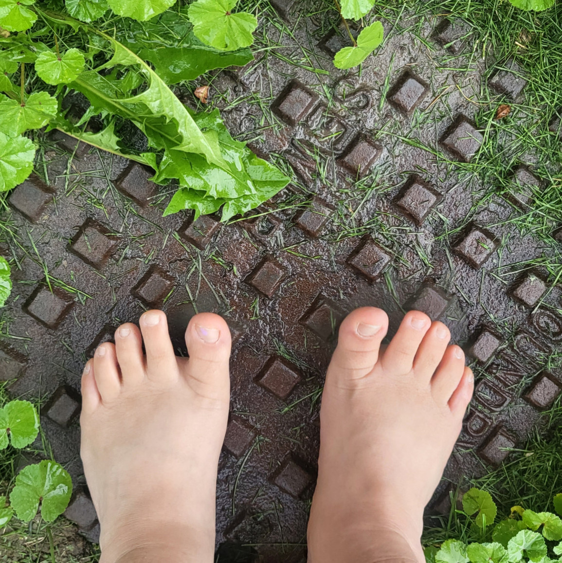 Barefoot in the Rain