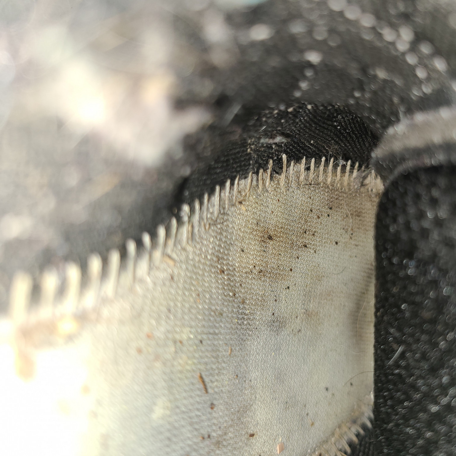 Size 9 Sneaker Sweaty Stinky Feet ODOR