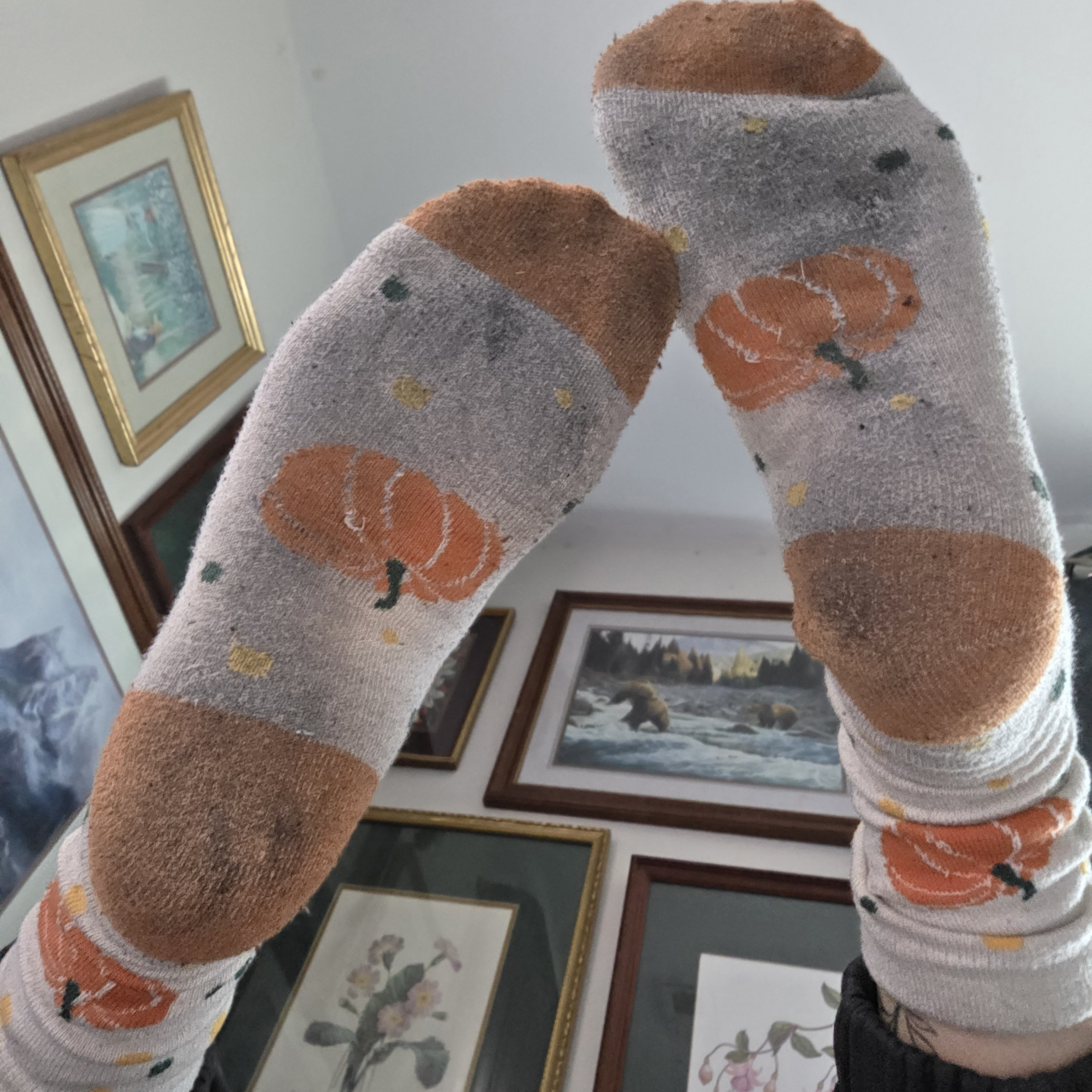 Worn Pumpkin Socks