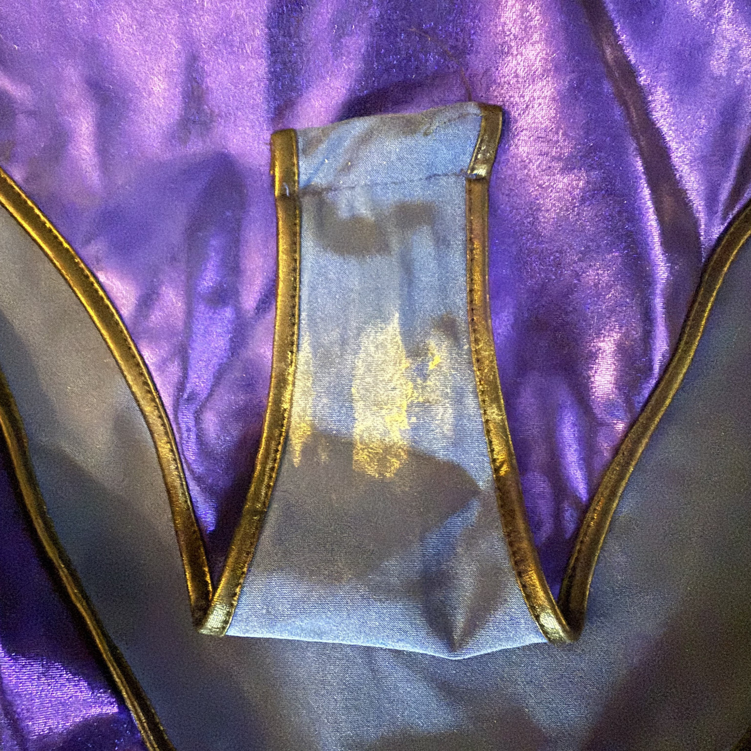 Mortal Kumbat Kitana Costume