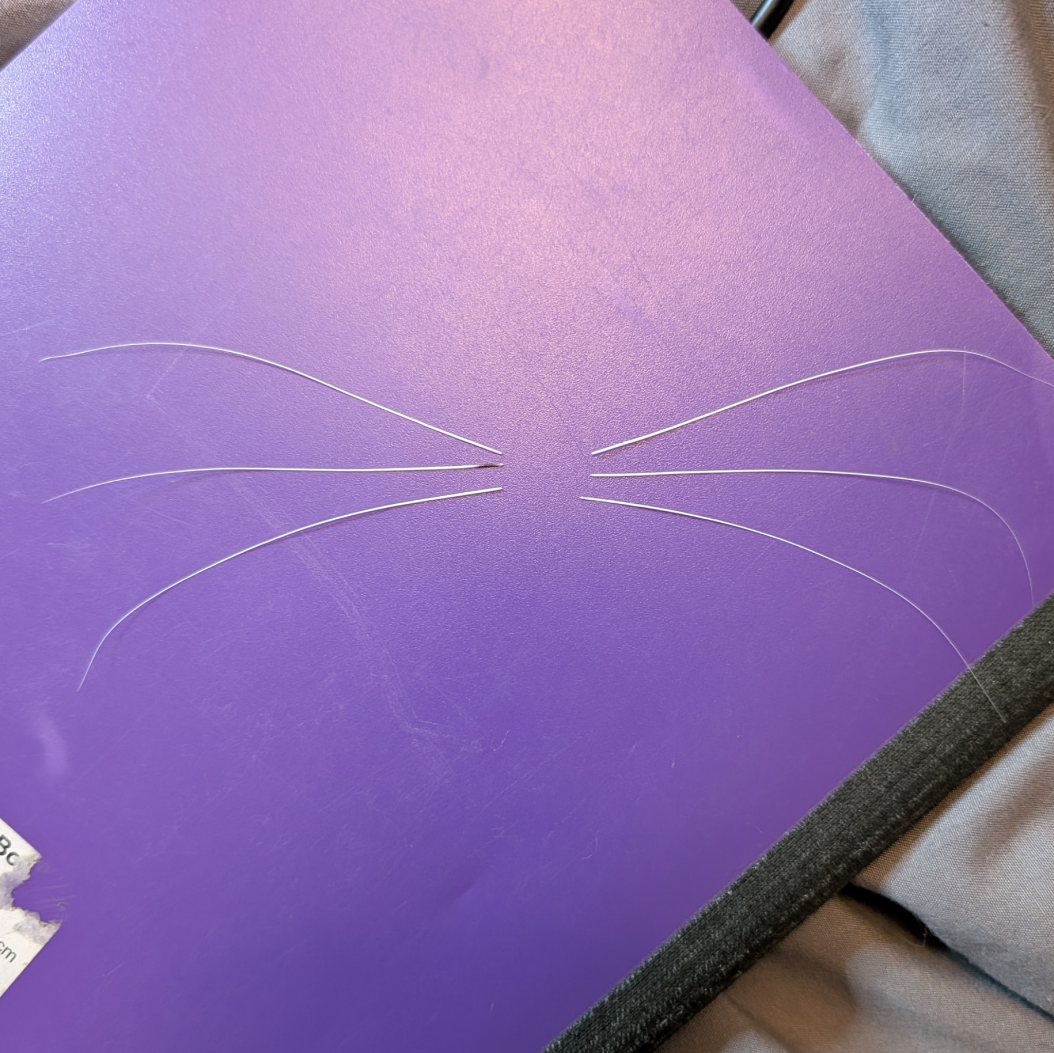 REAL Whiskers for crafting cosplay accessories