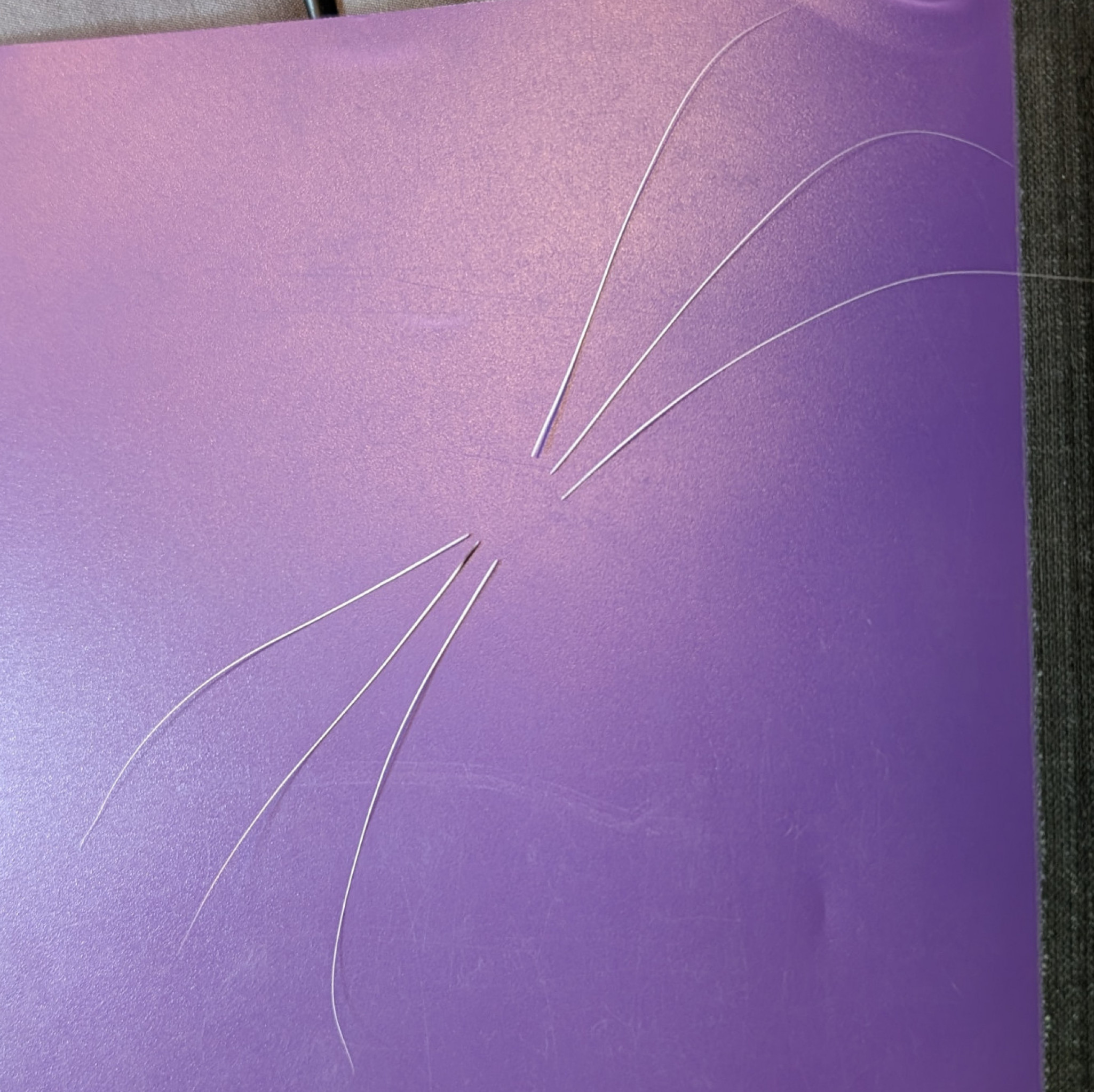 REAL Whiskers for crafting cosplay accessories