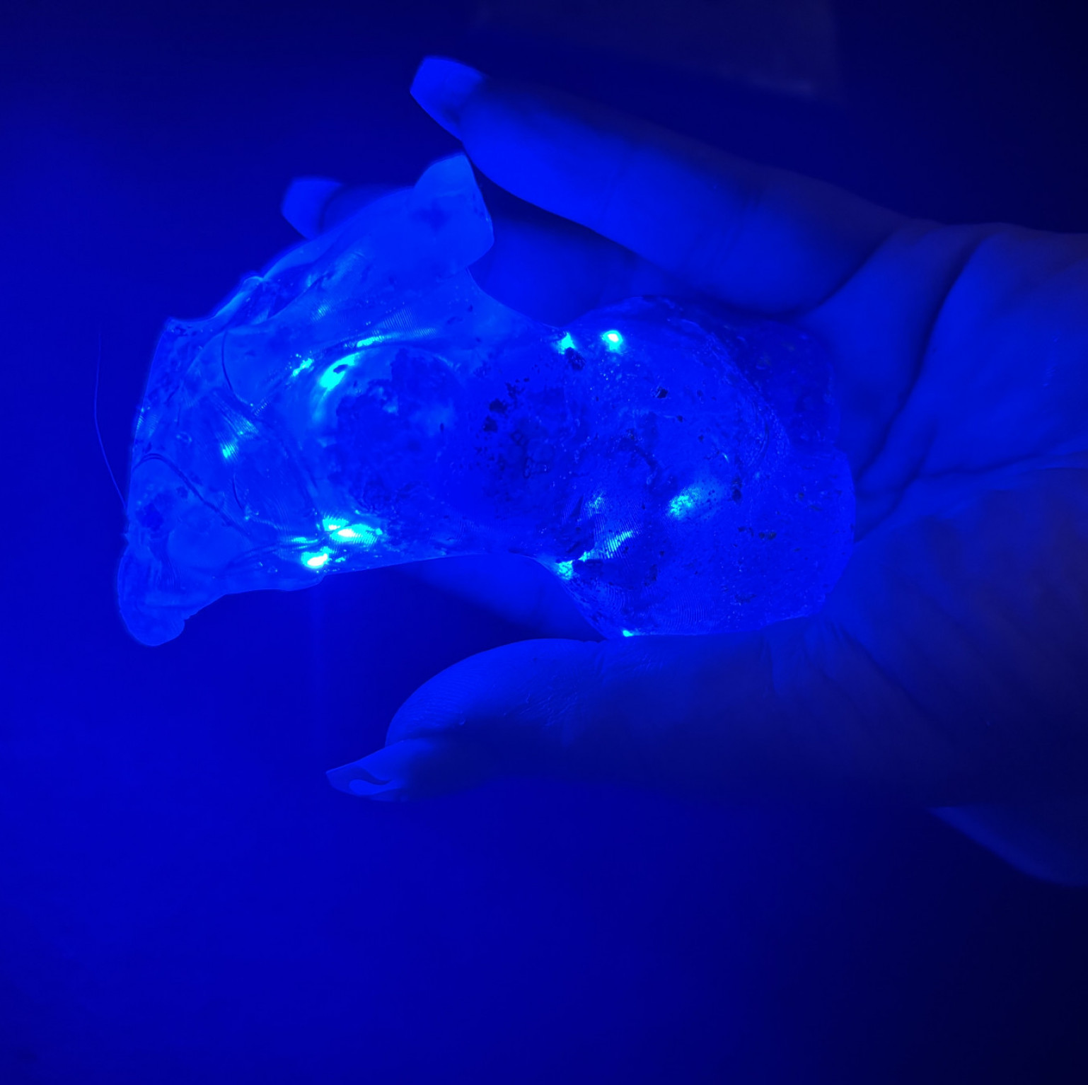 Light up resin bust and ass