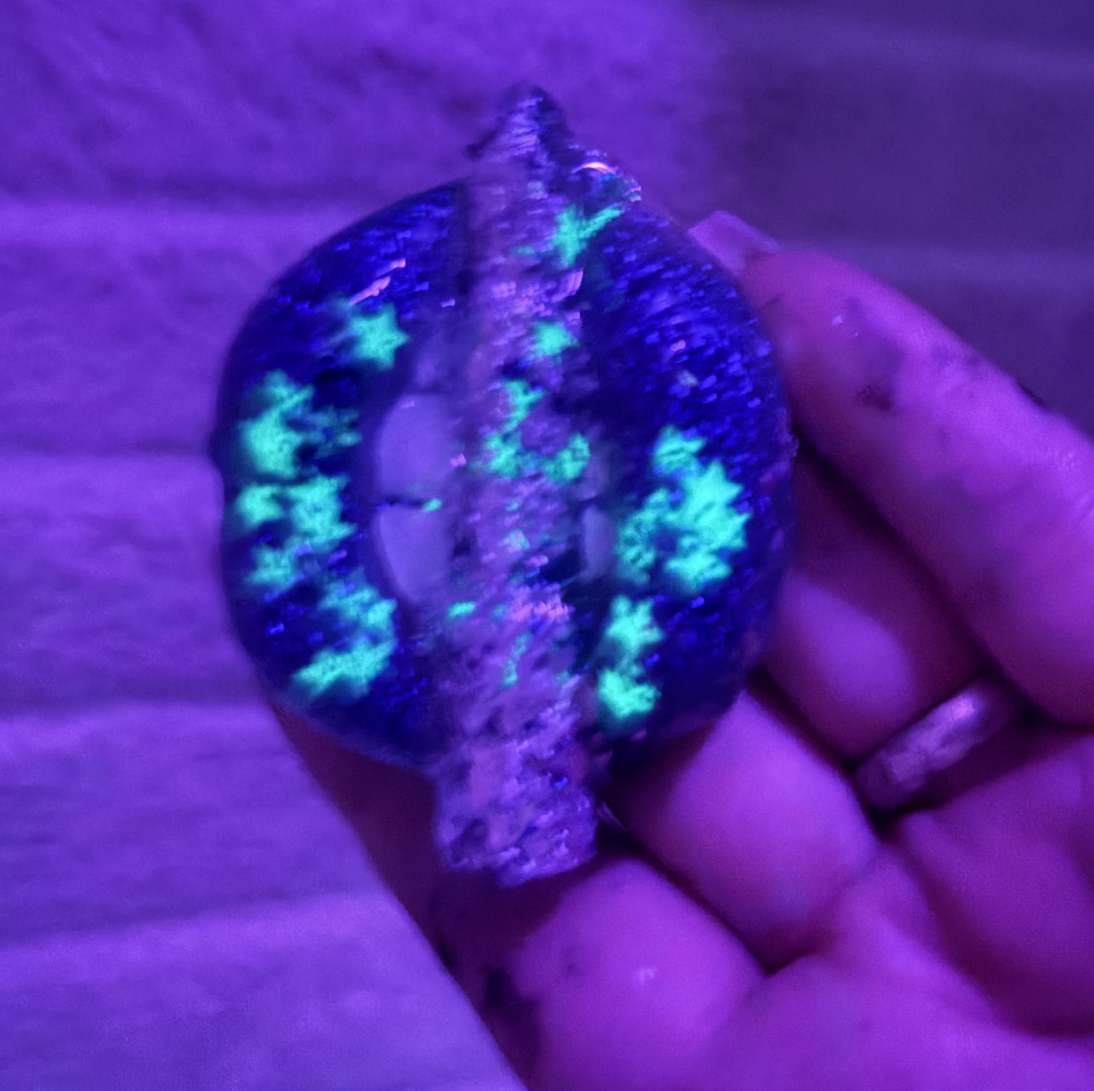 The silver bullet werewolf lip keychain