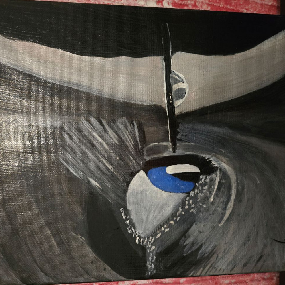 Eeye Collection  6 pieces