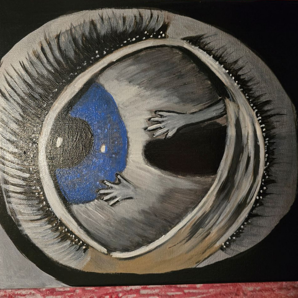 Eeye Collection  6 pieces