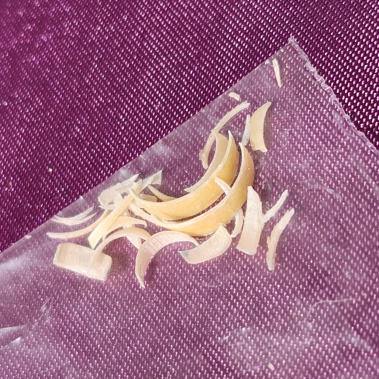 Natalies Toenails Bundle Number 1