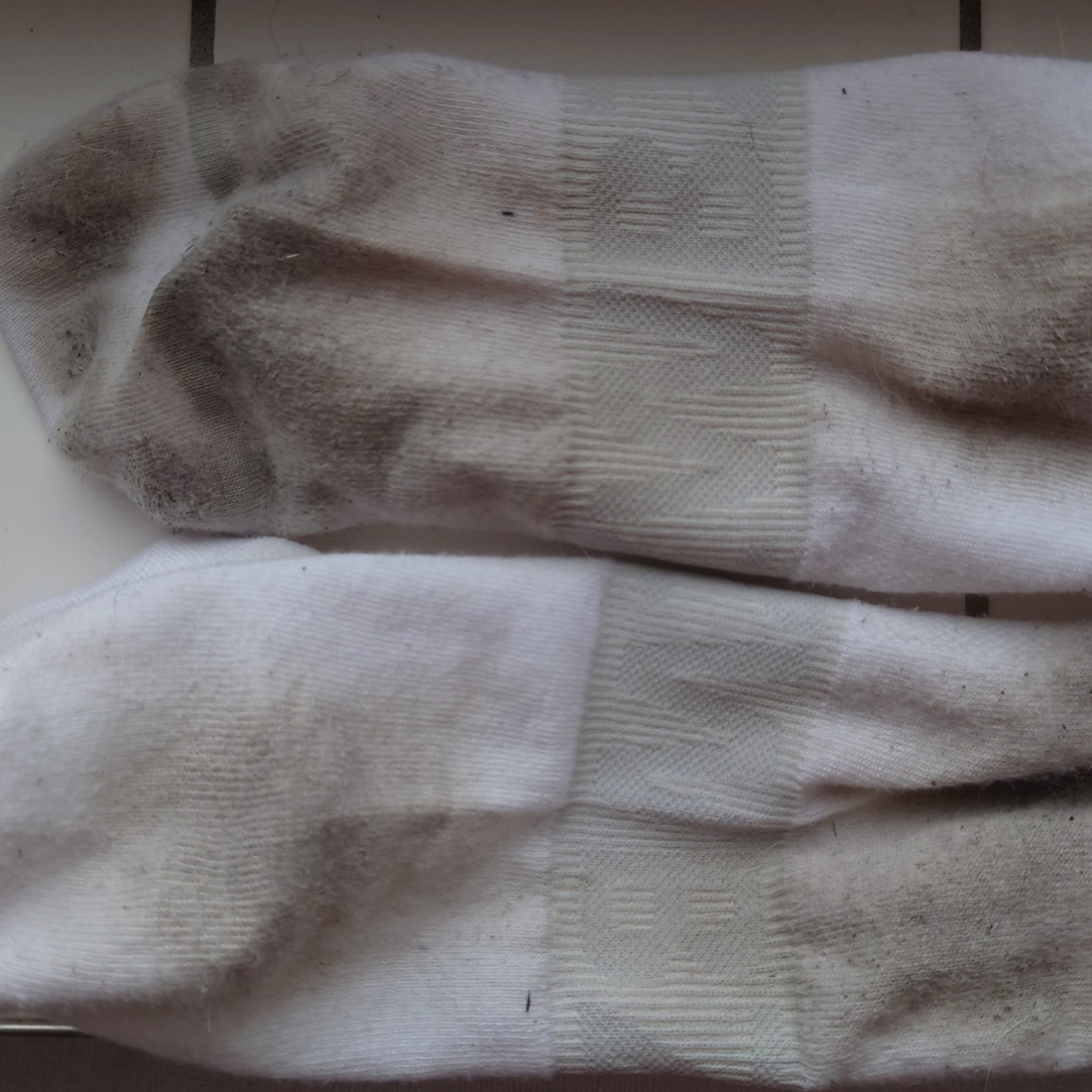 White Sneaker Socks of the Day