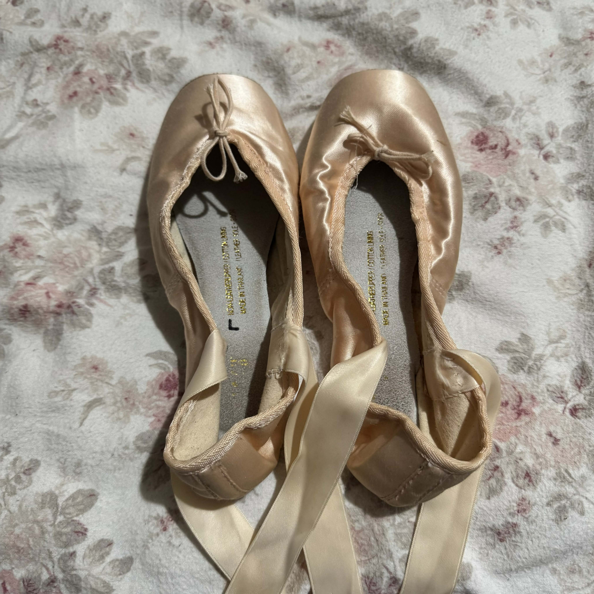 Well Worn Pink Satin Pointe Ballet Shoes