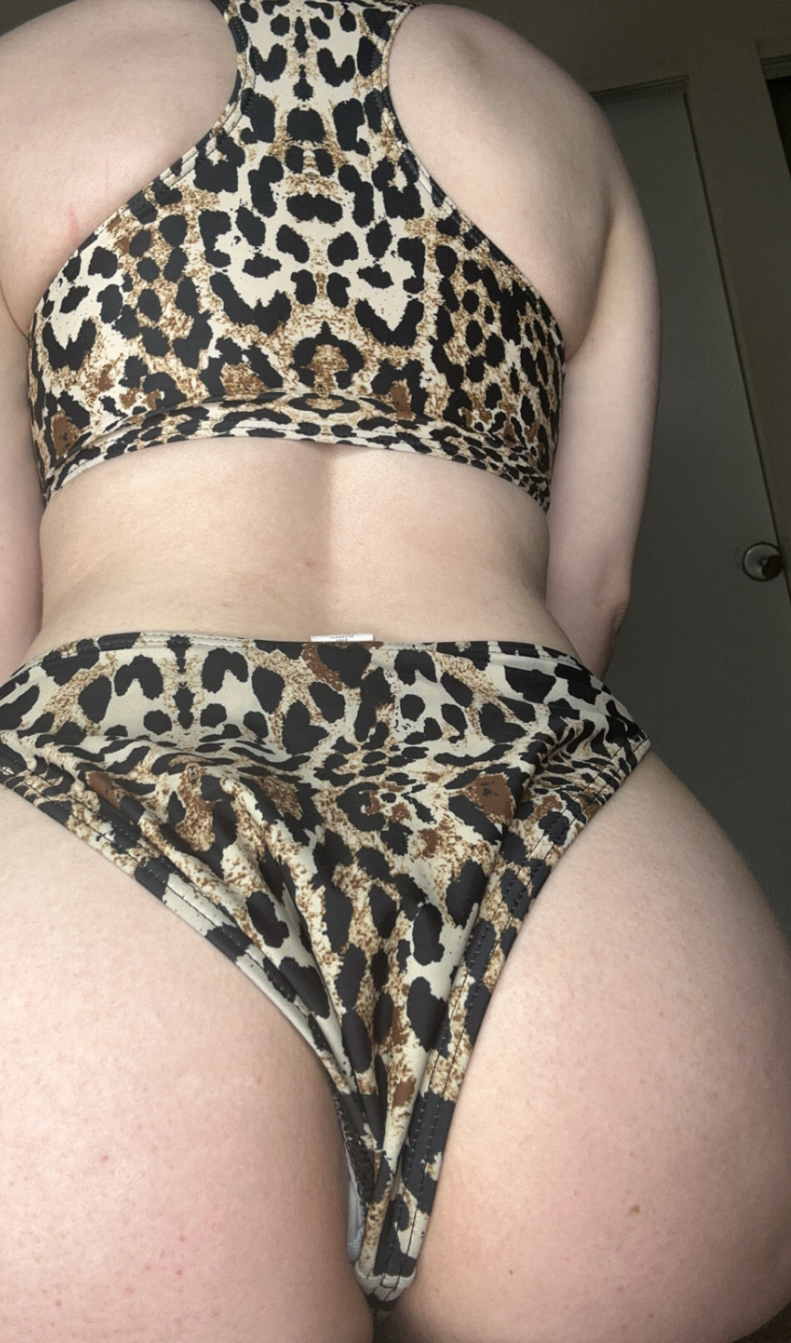 Cheetah print two piece swimsuit