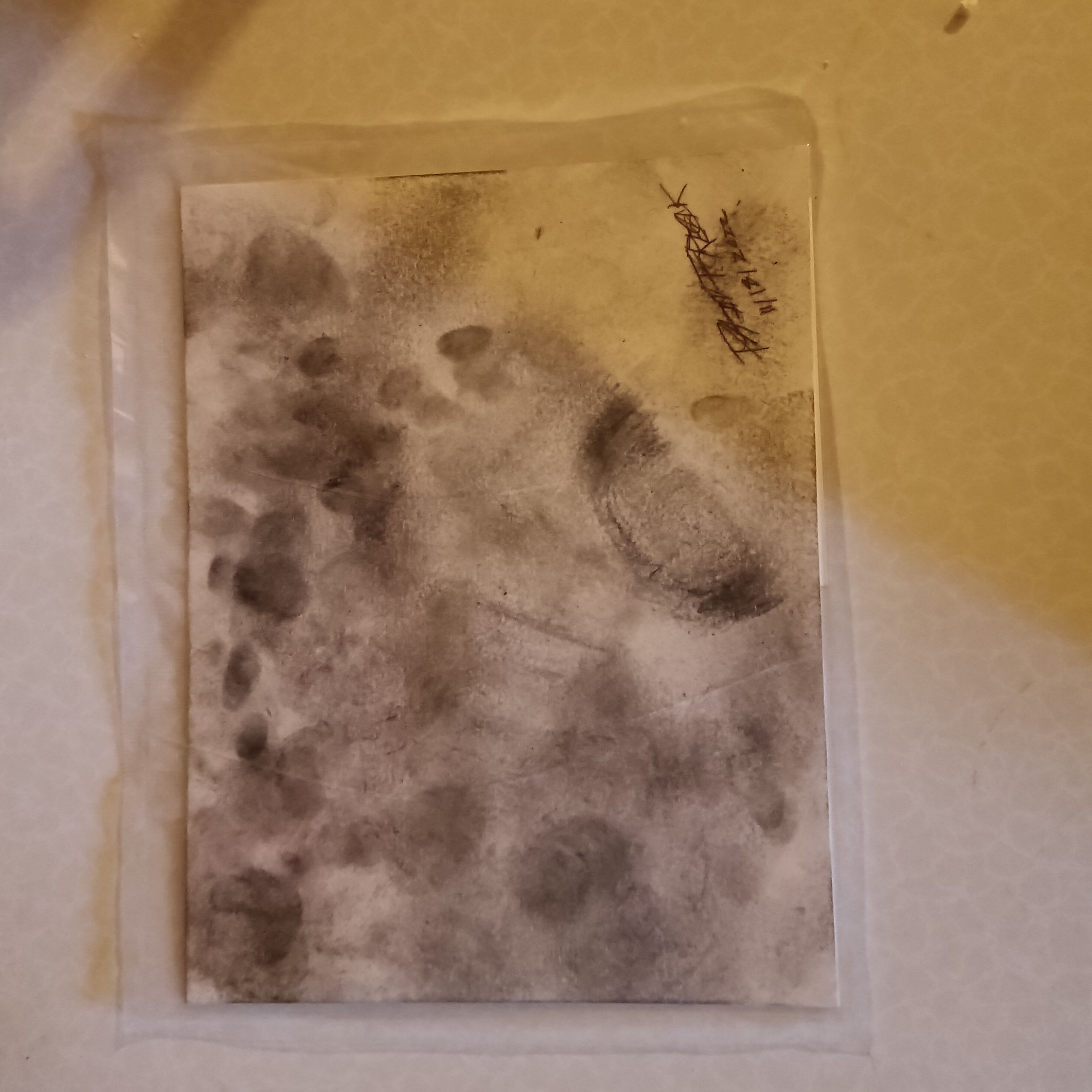 ART5: Foot Filth Prints