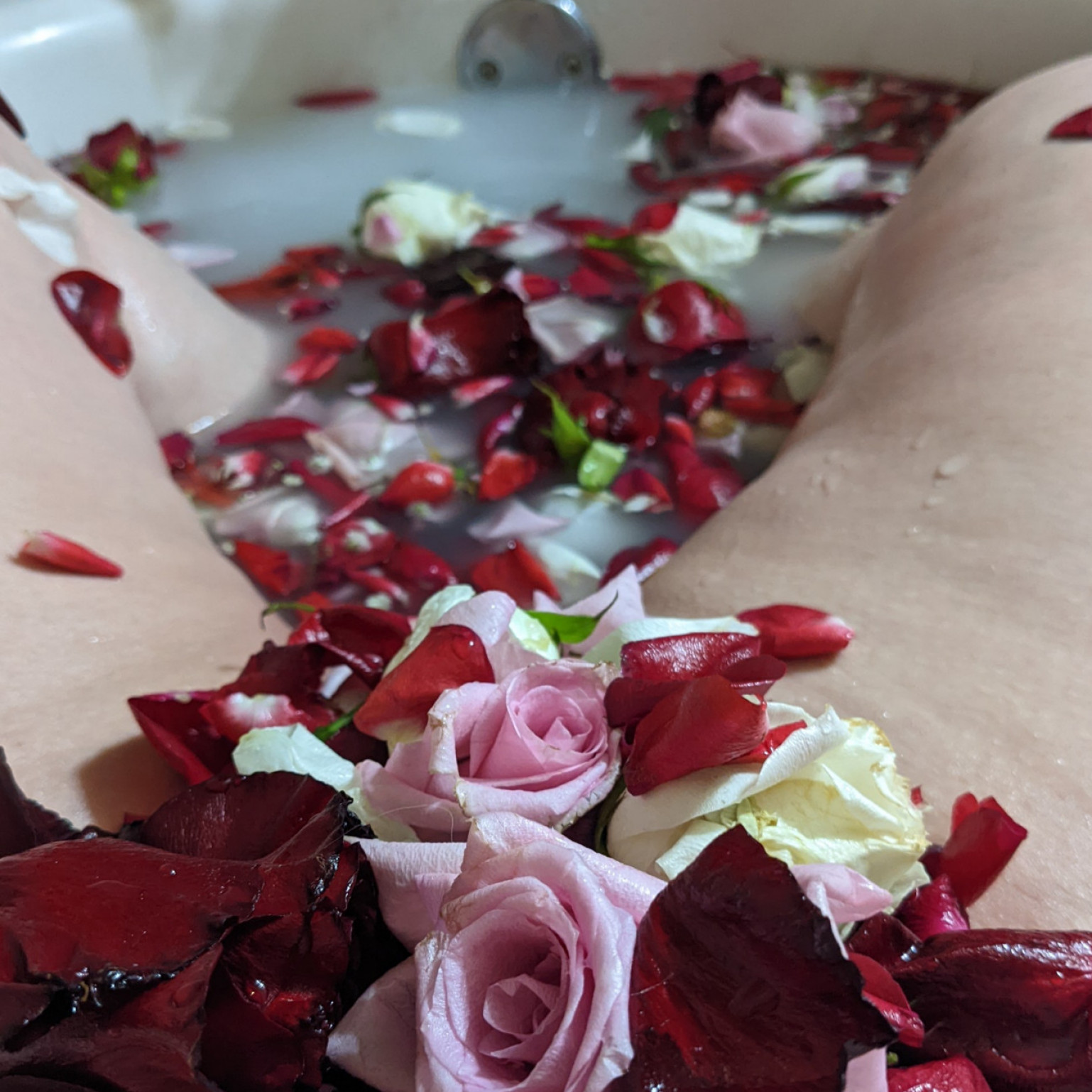 Rose Filled Bubble Baths _ Natural Bush Shots